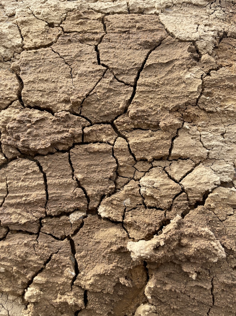 cracked dry earth, drought landscape, dry riverbed, withered crops