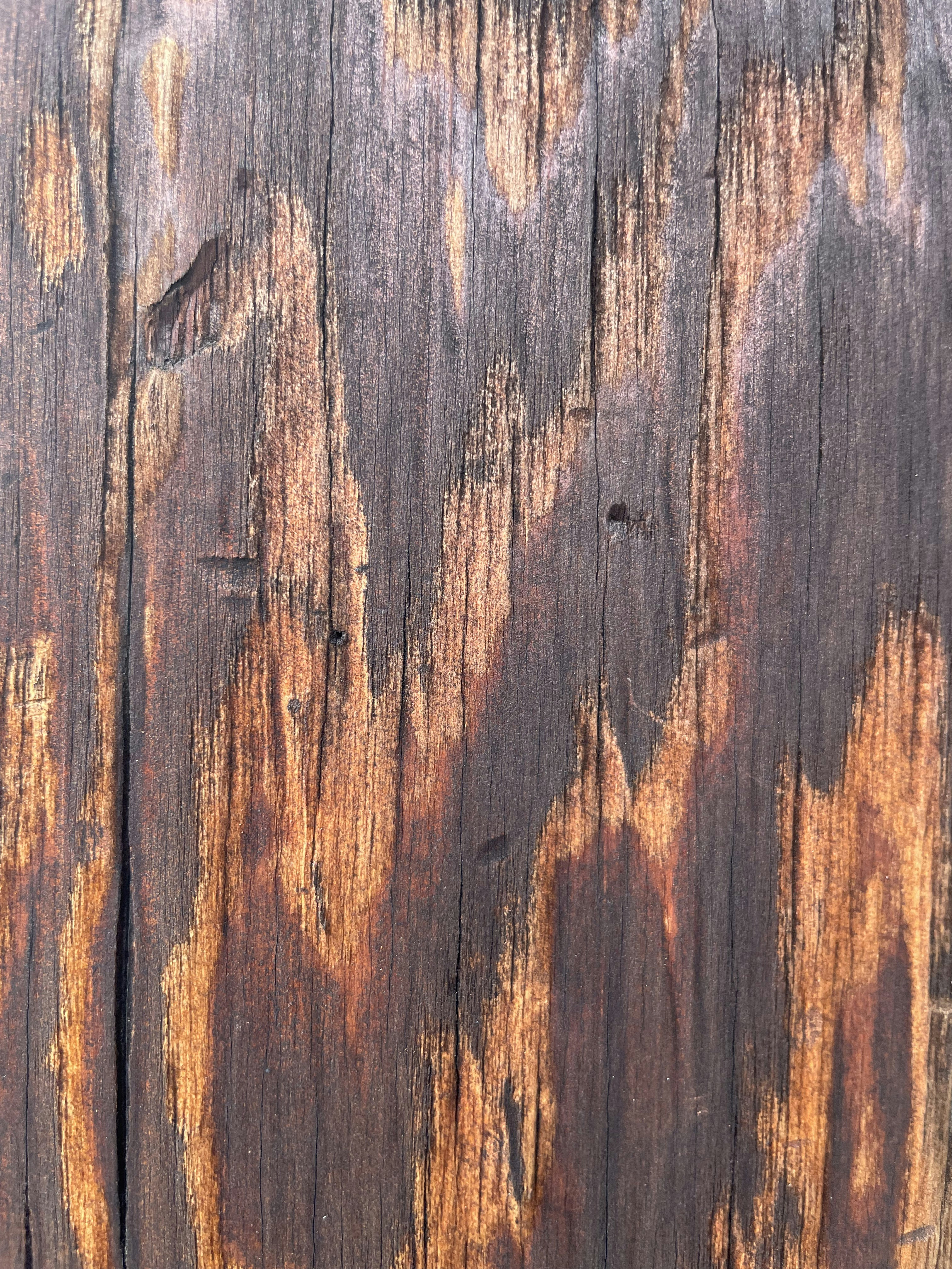 Il legno screpolato e usurato mostra ricche variazioni di colore.