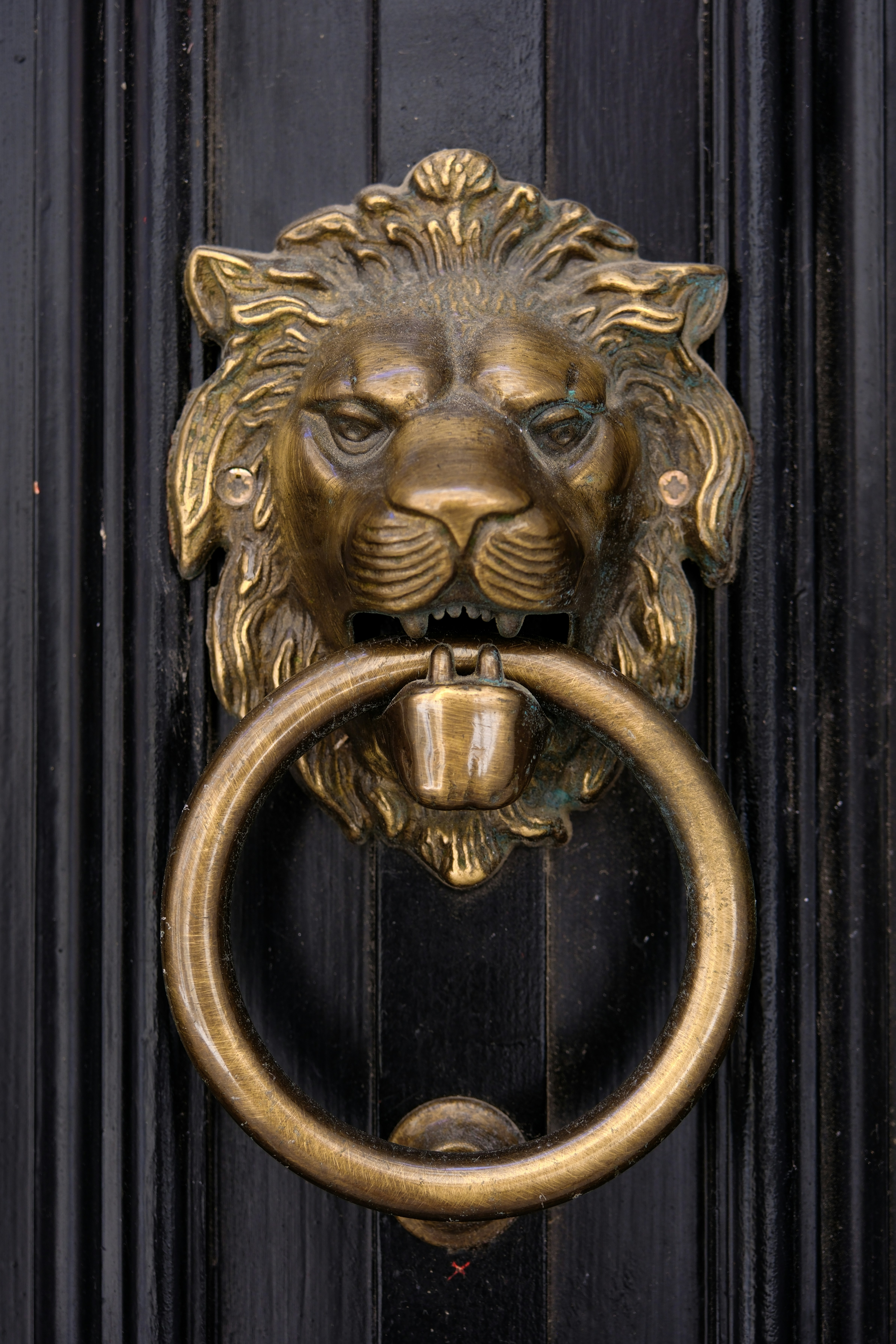 A brass lion door knocker.