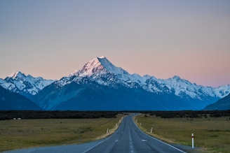 Road leads to majestic, snow-capped mountains.