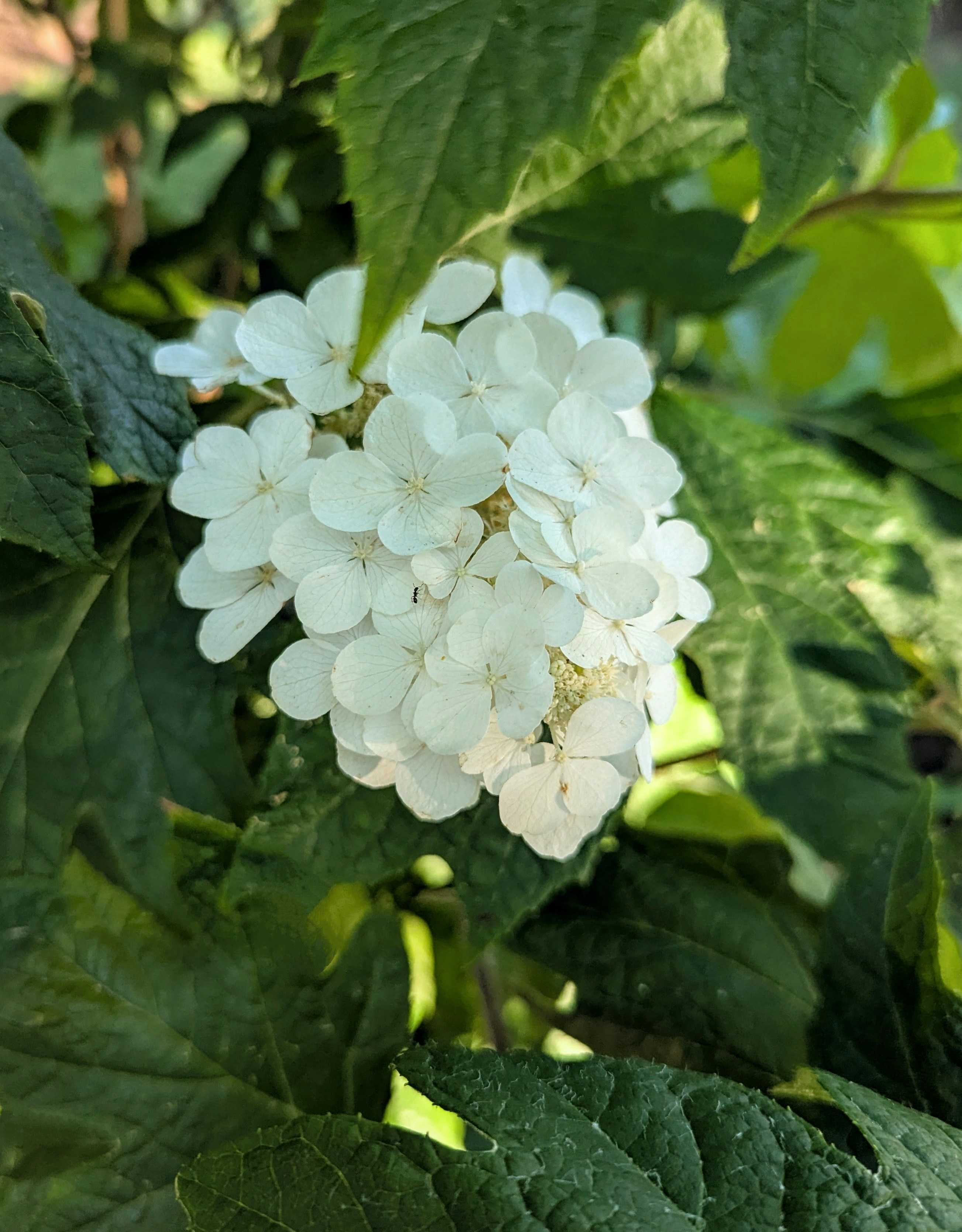 Photo by auntcake49