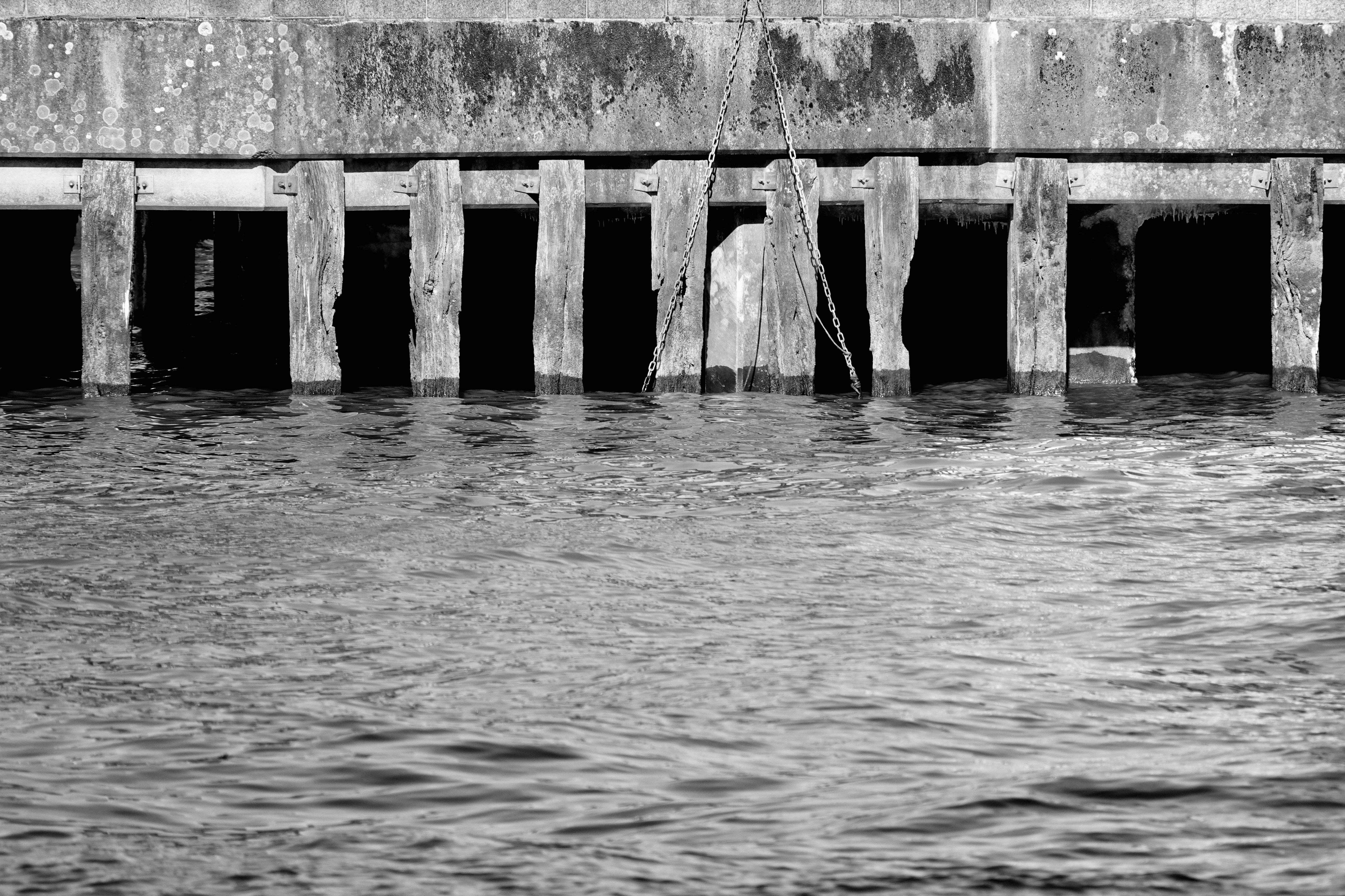 Photo by priyankachechi29