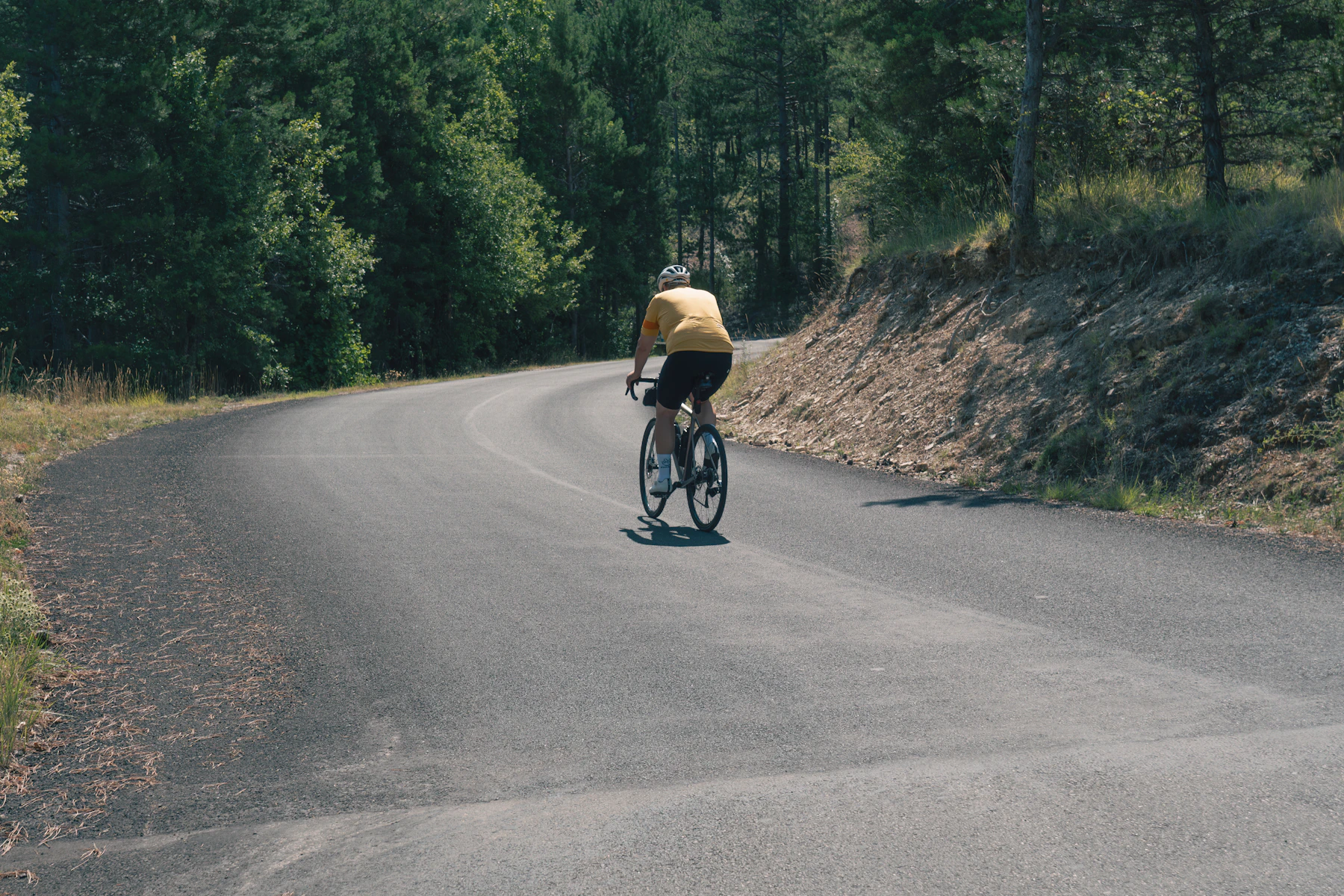 Road cyclist riding through a quiet forest route
