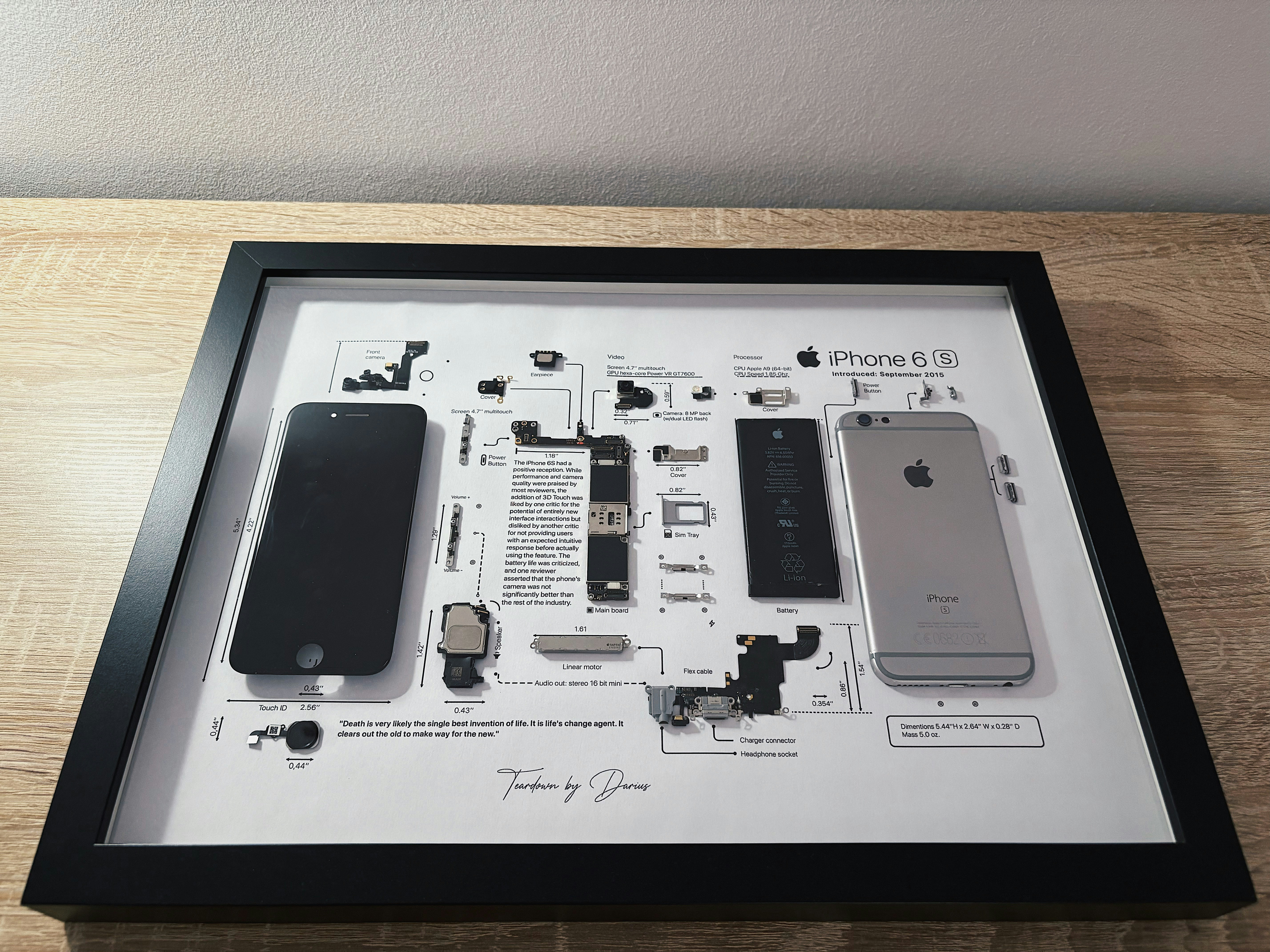 An iPhone 6s dissected and framed.