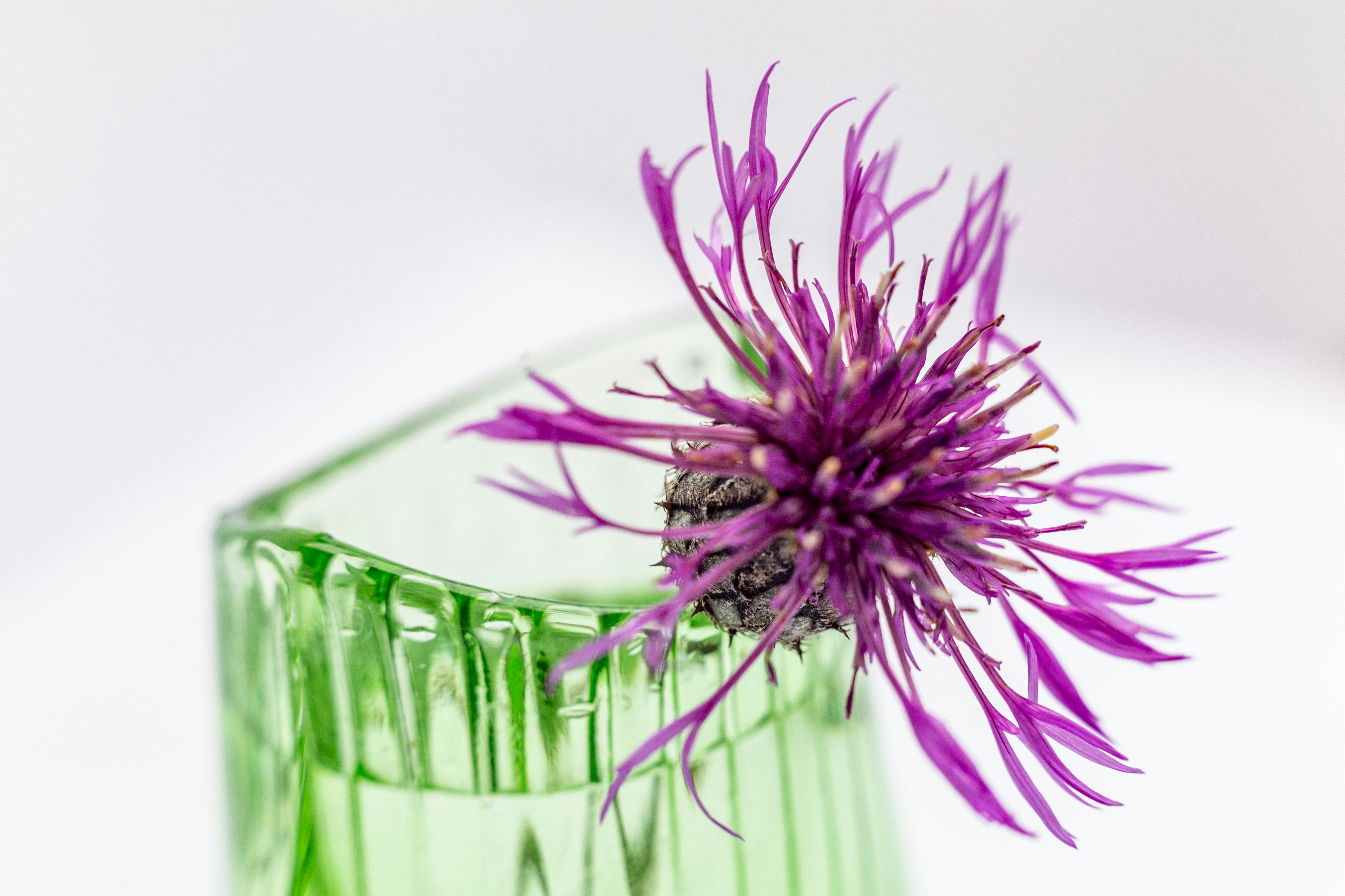 Flor roxa em um vaso de vidro verde.