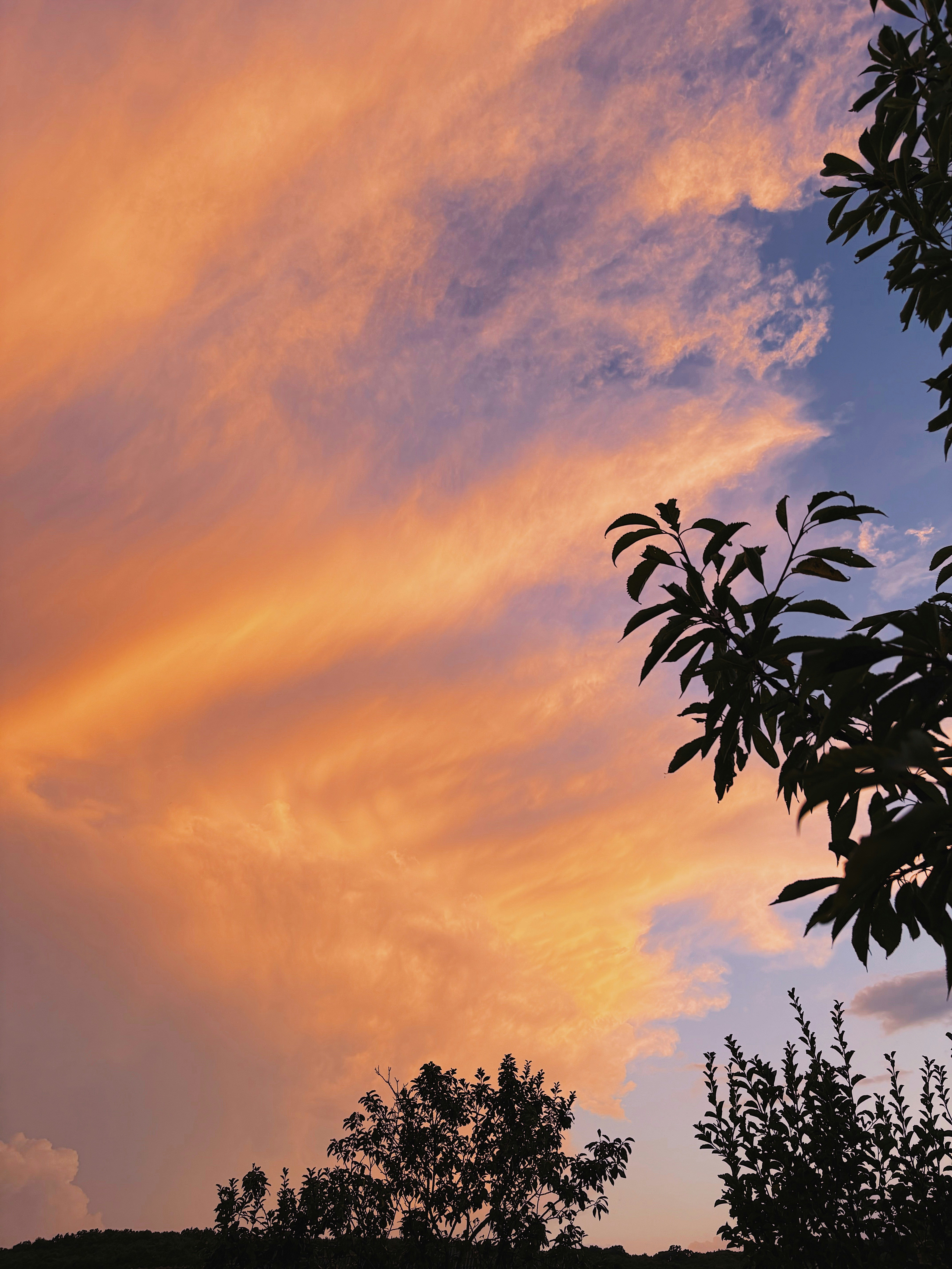 Vibrant, orange clouds fill the sky at sunset.