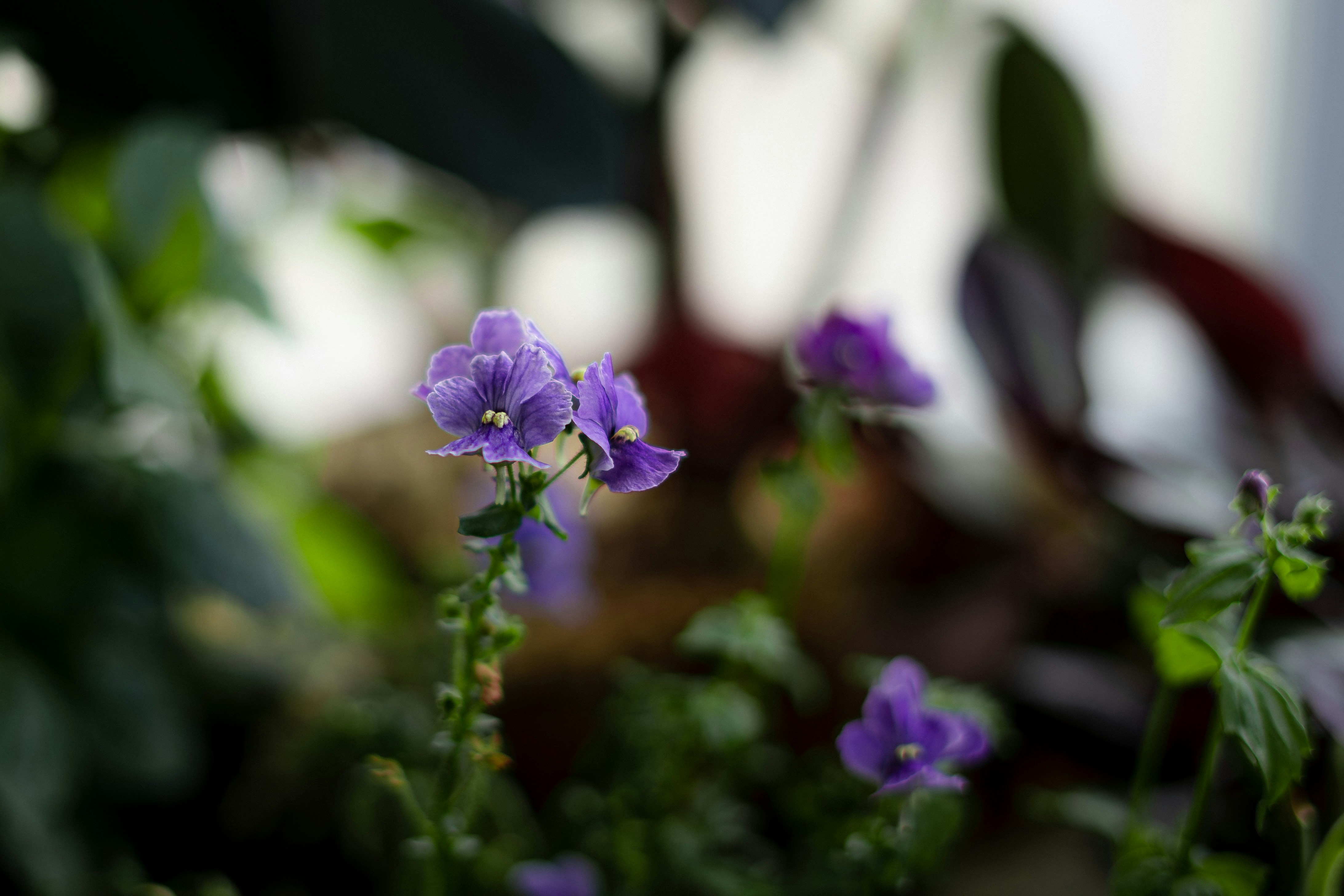 Photo by chrishardyphotography