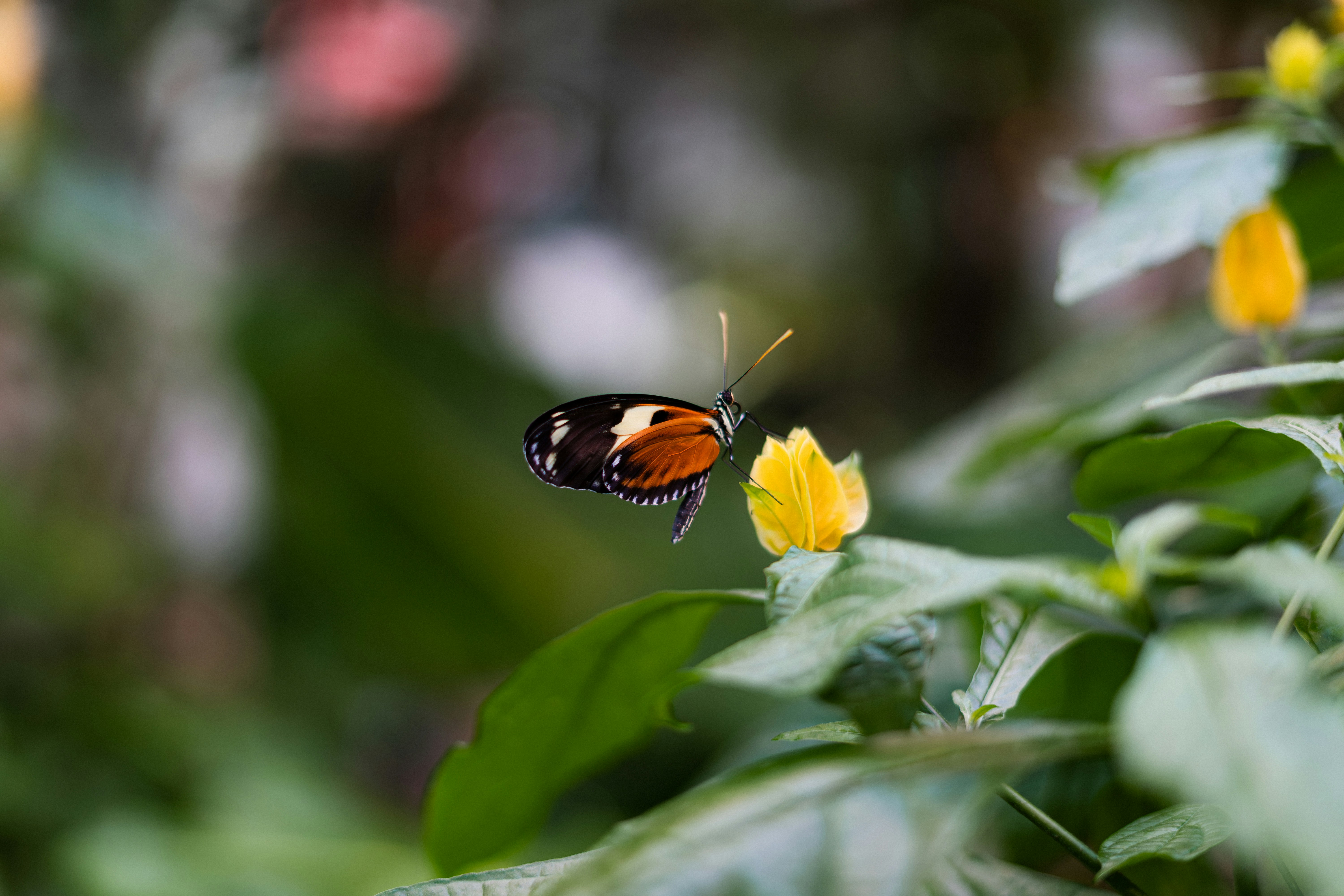 Photo by chrishardyphotography