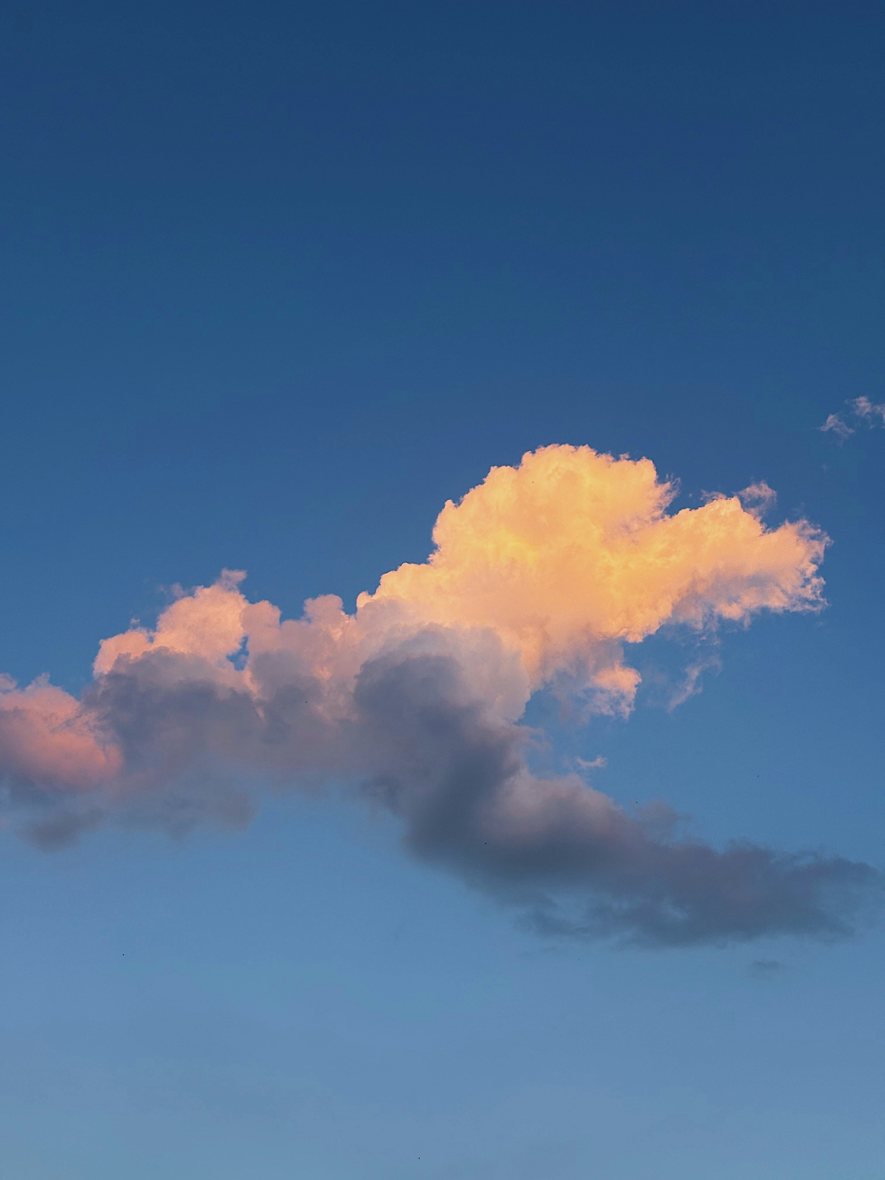 A cloud with light colors shines.
