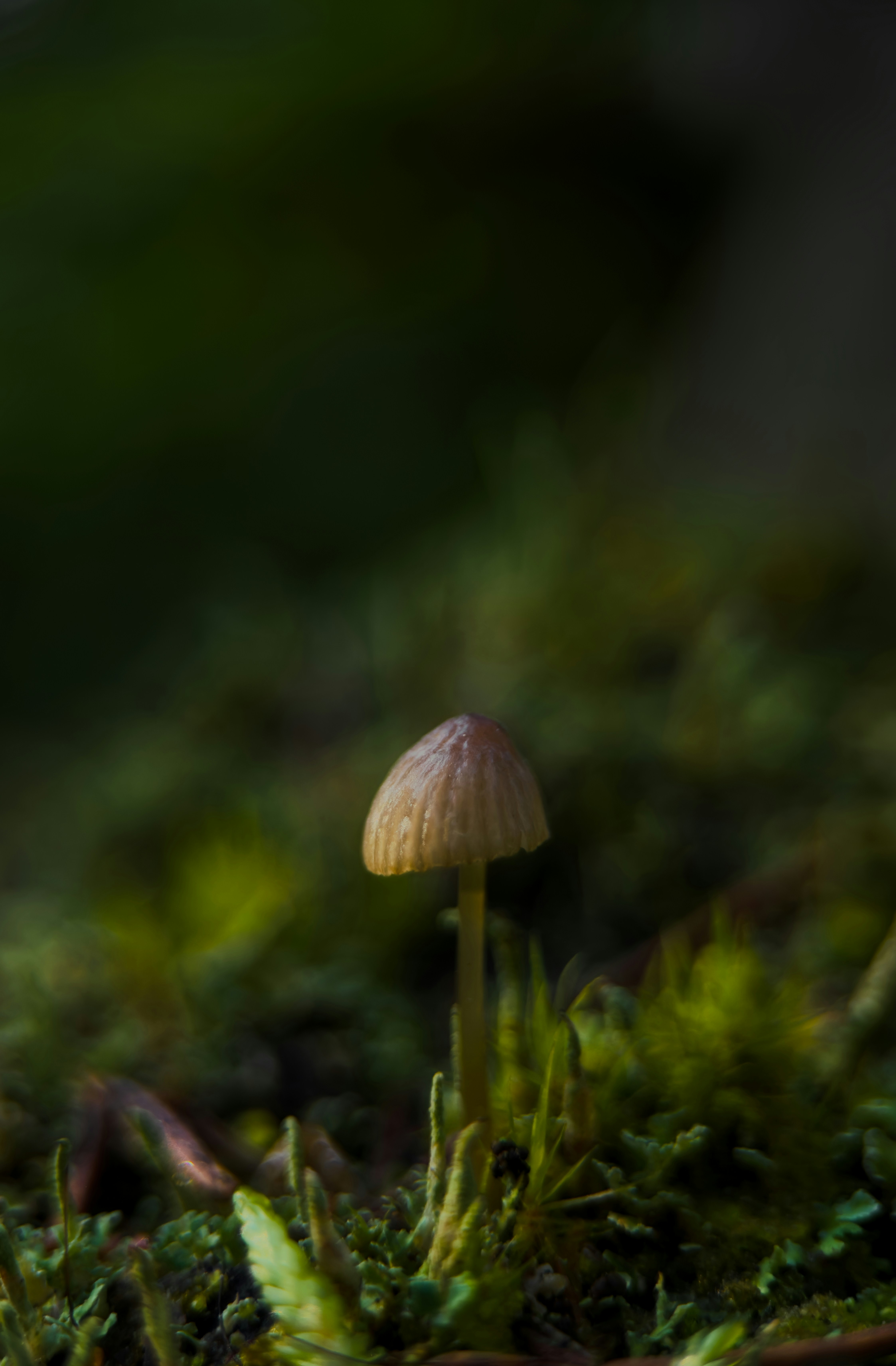 Photo by vadimkaipov