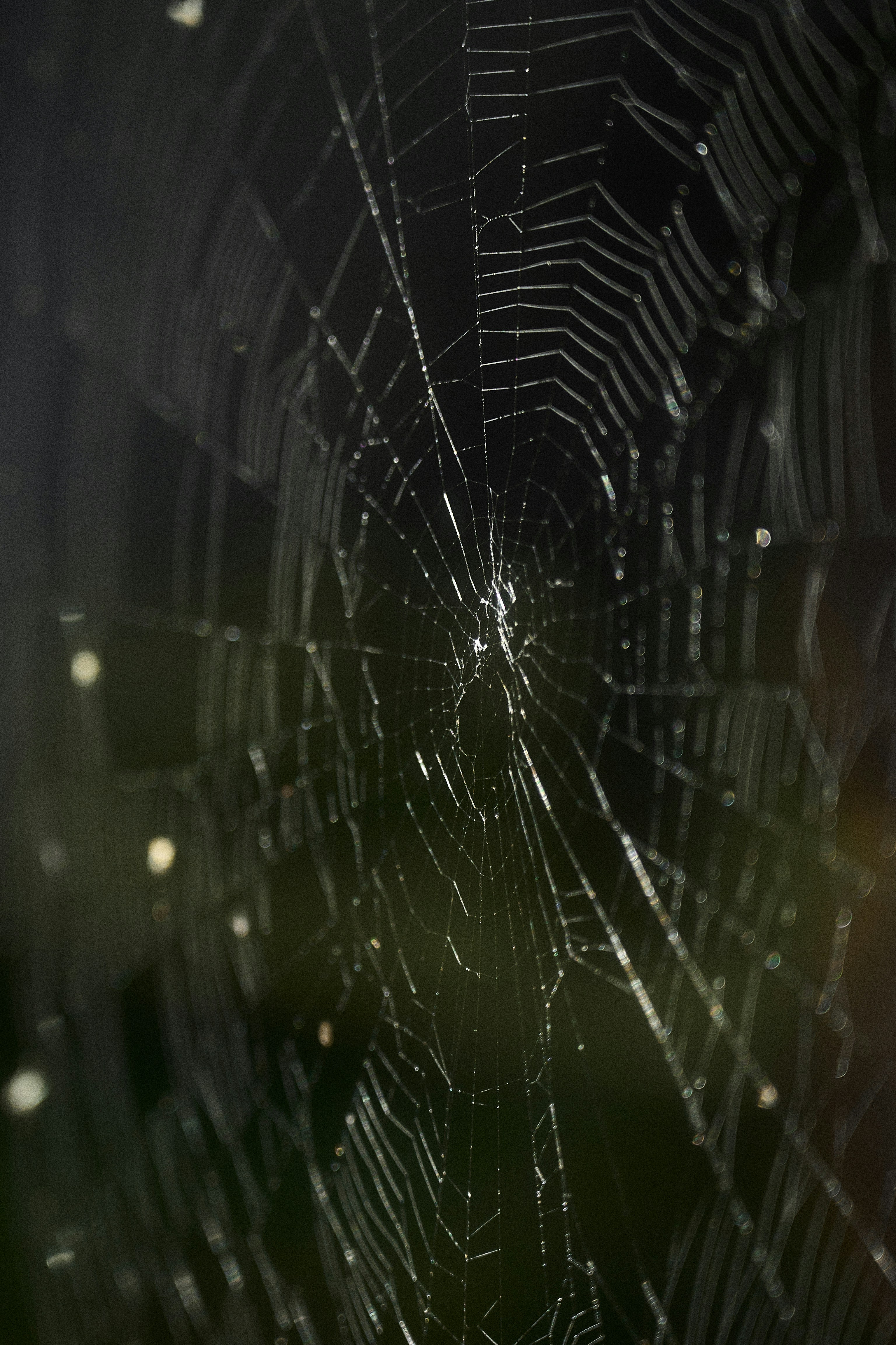 Photo by vadimkaipov