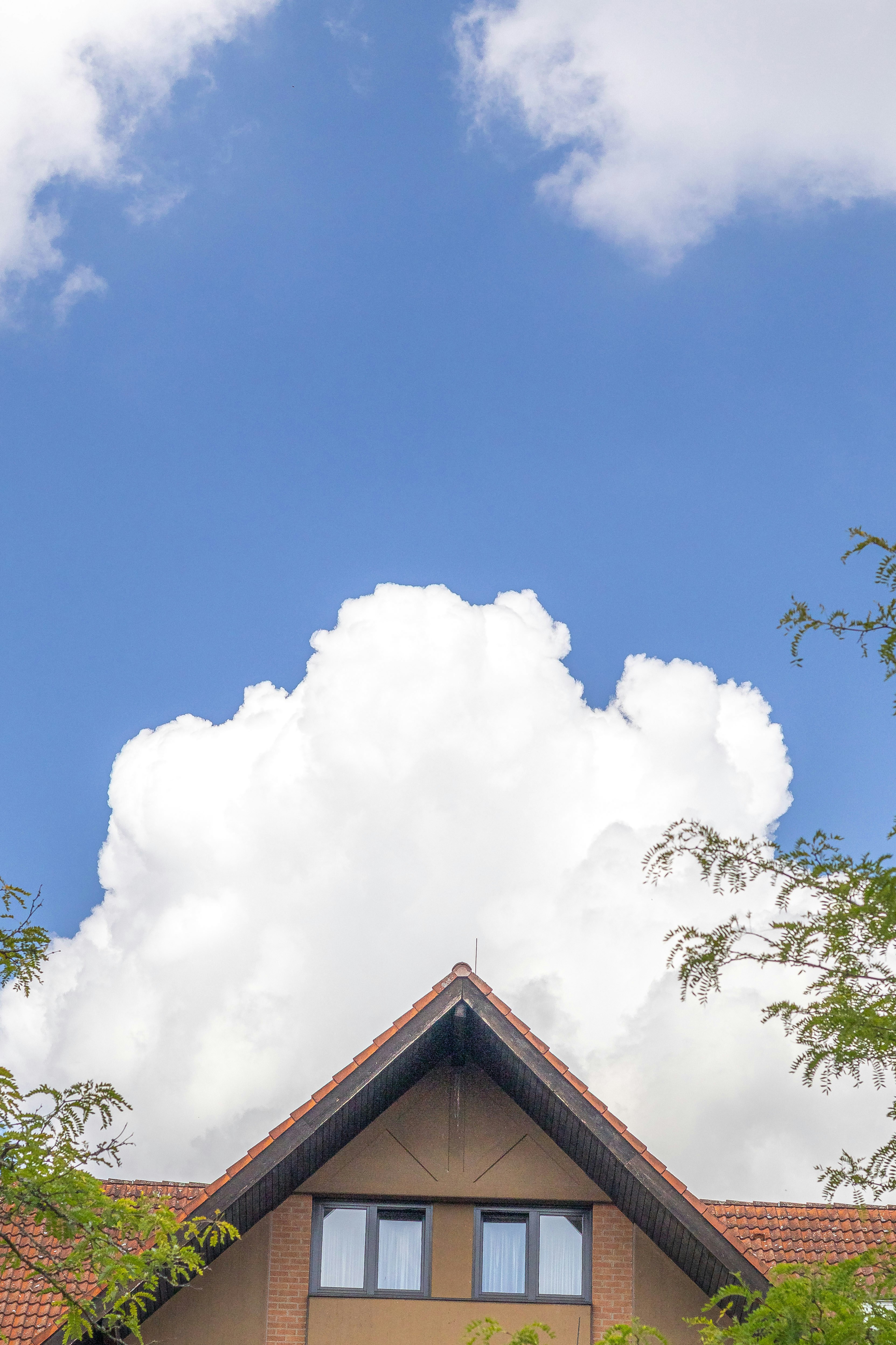 Photo by arlindphotography