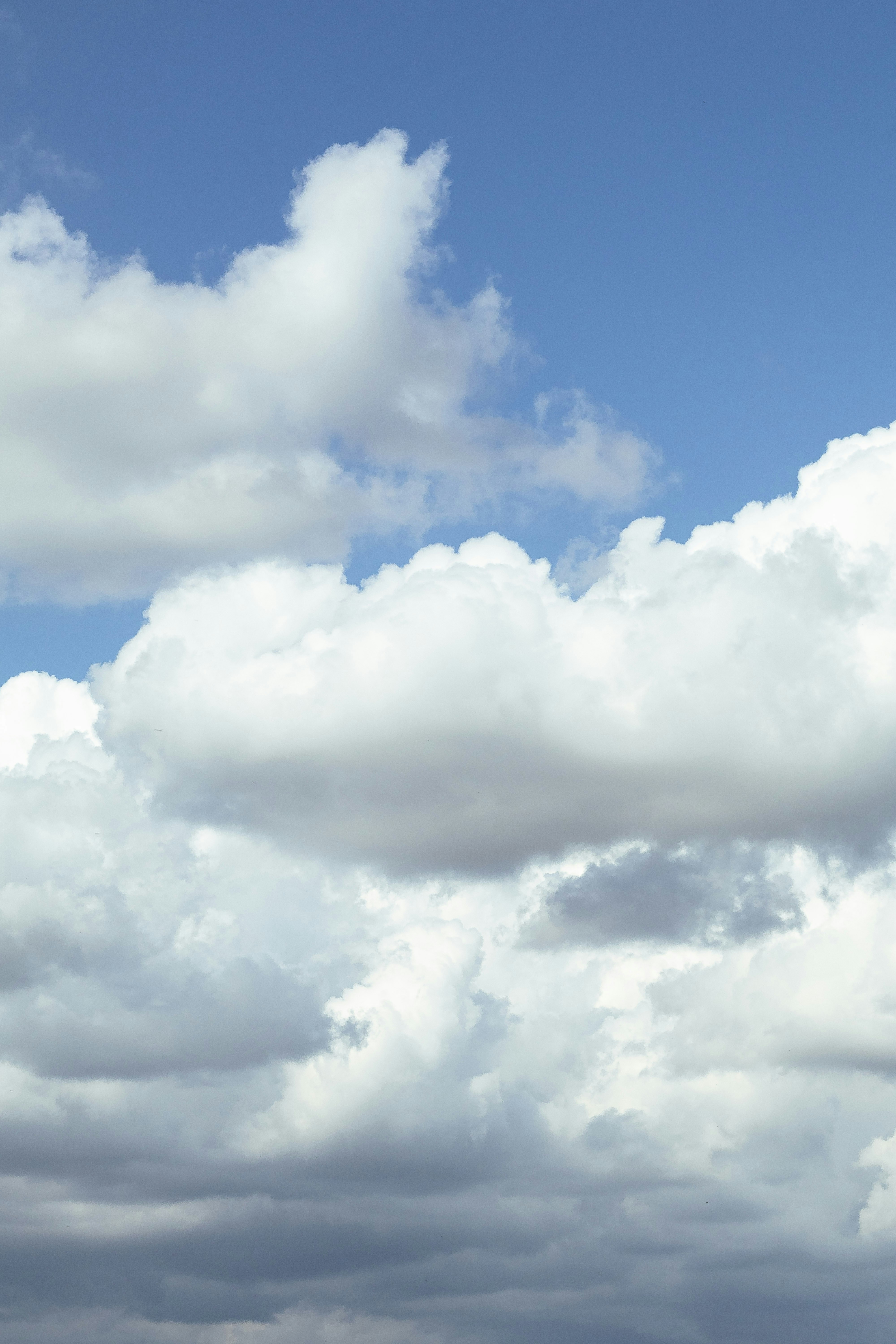 Photo by arlindphotography