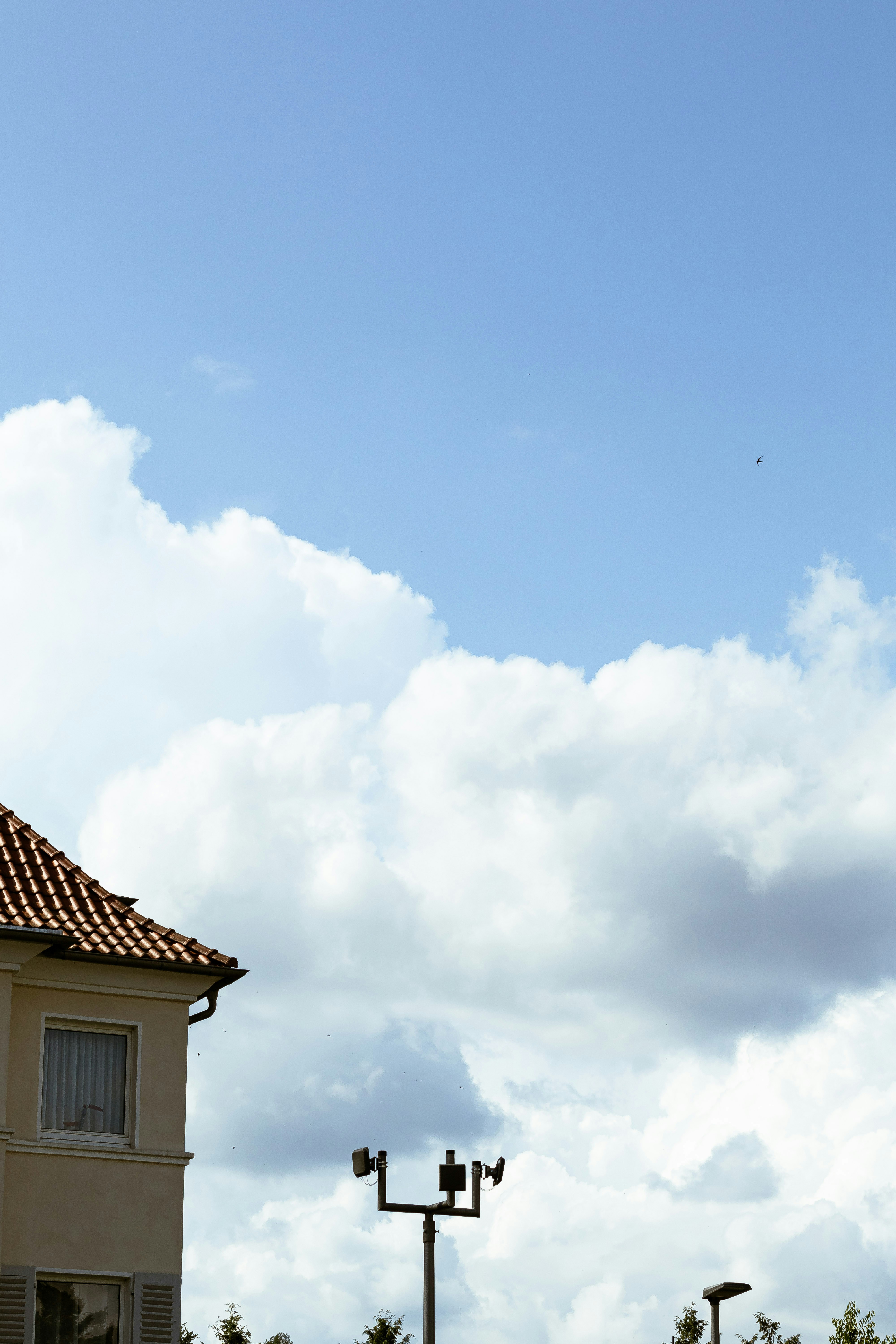 Photo by arlindphotography