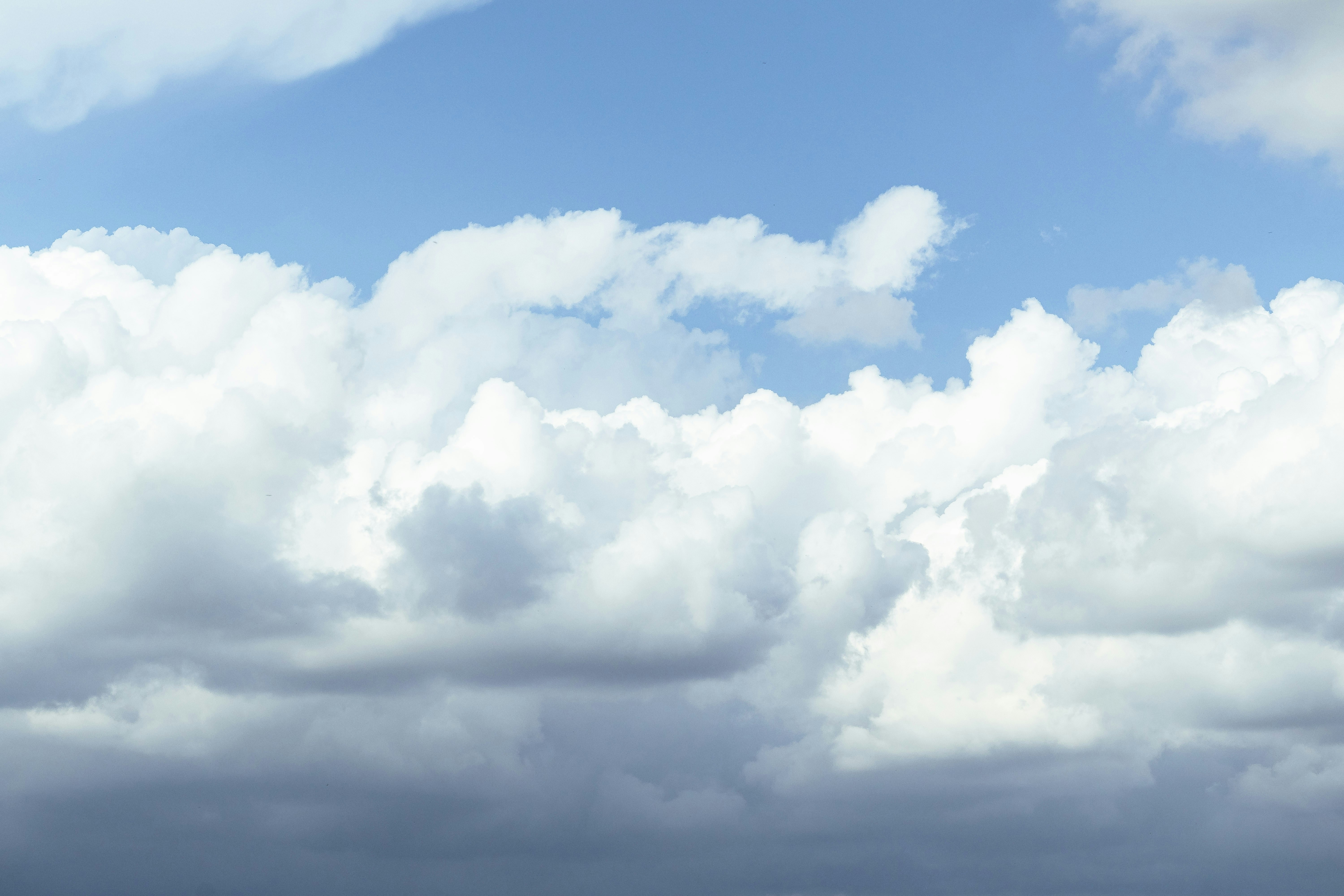 Photo by arlindphotography