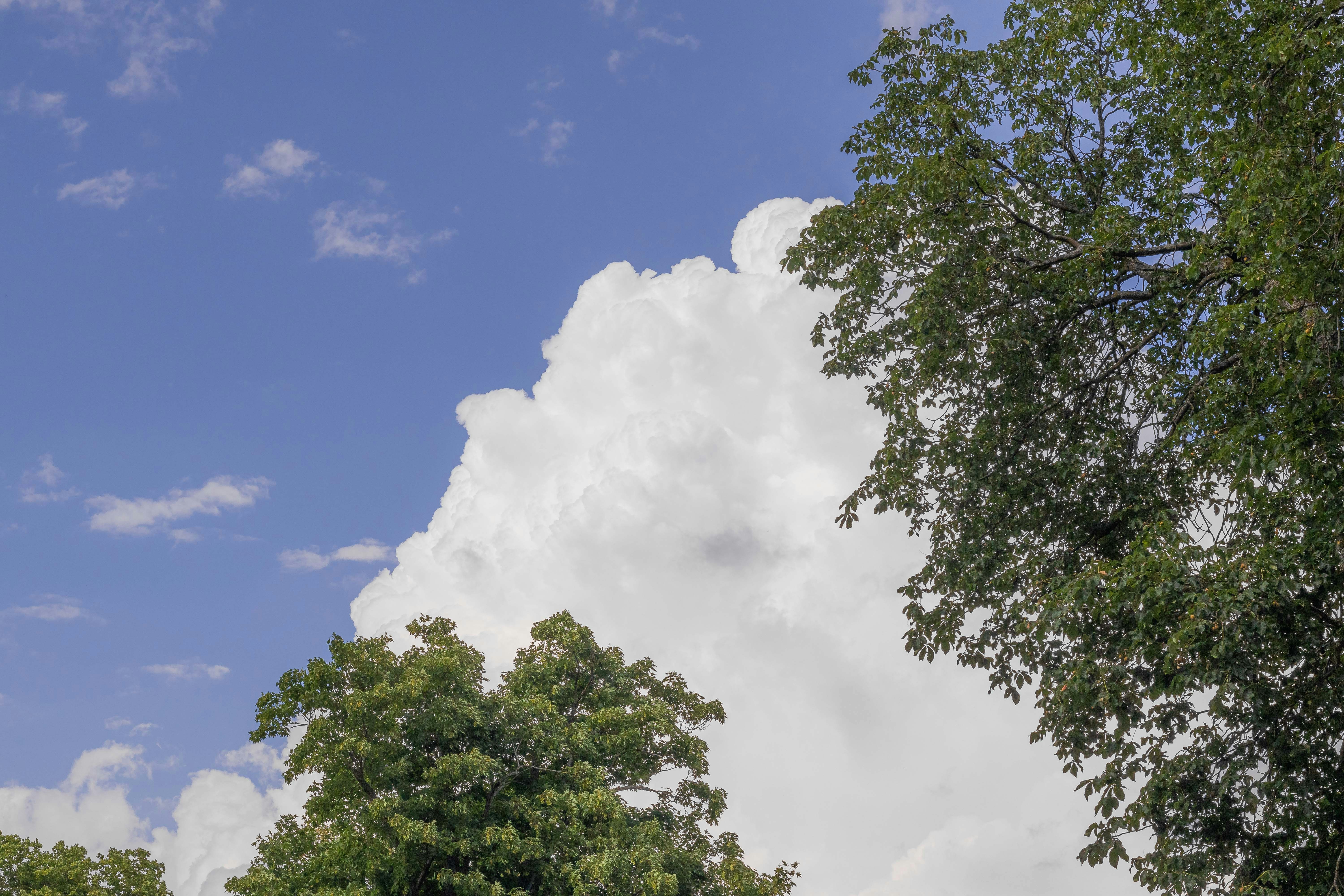 Photo by arlindphotography