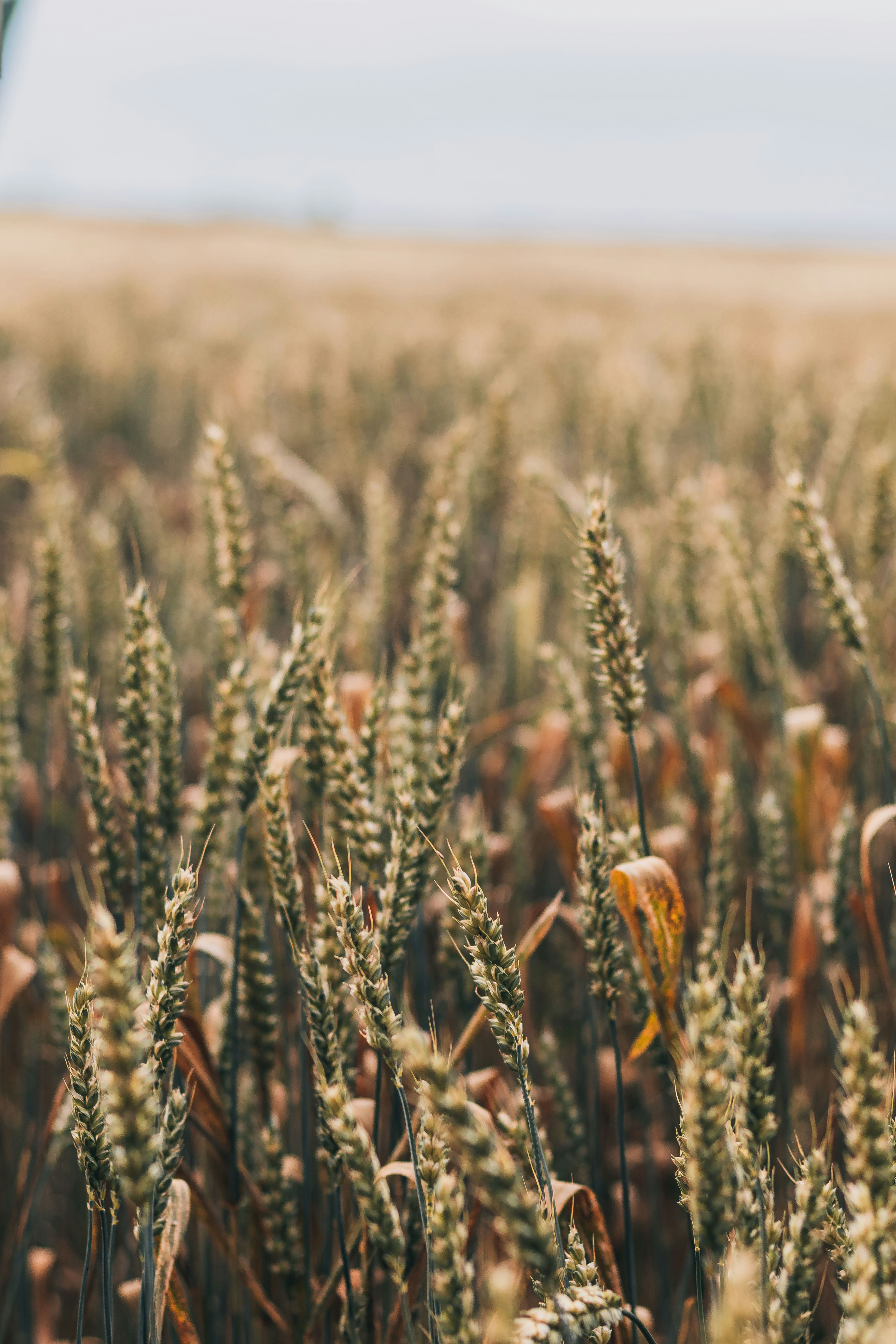 Photo by arlindphotography