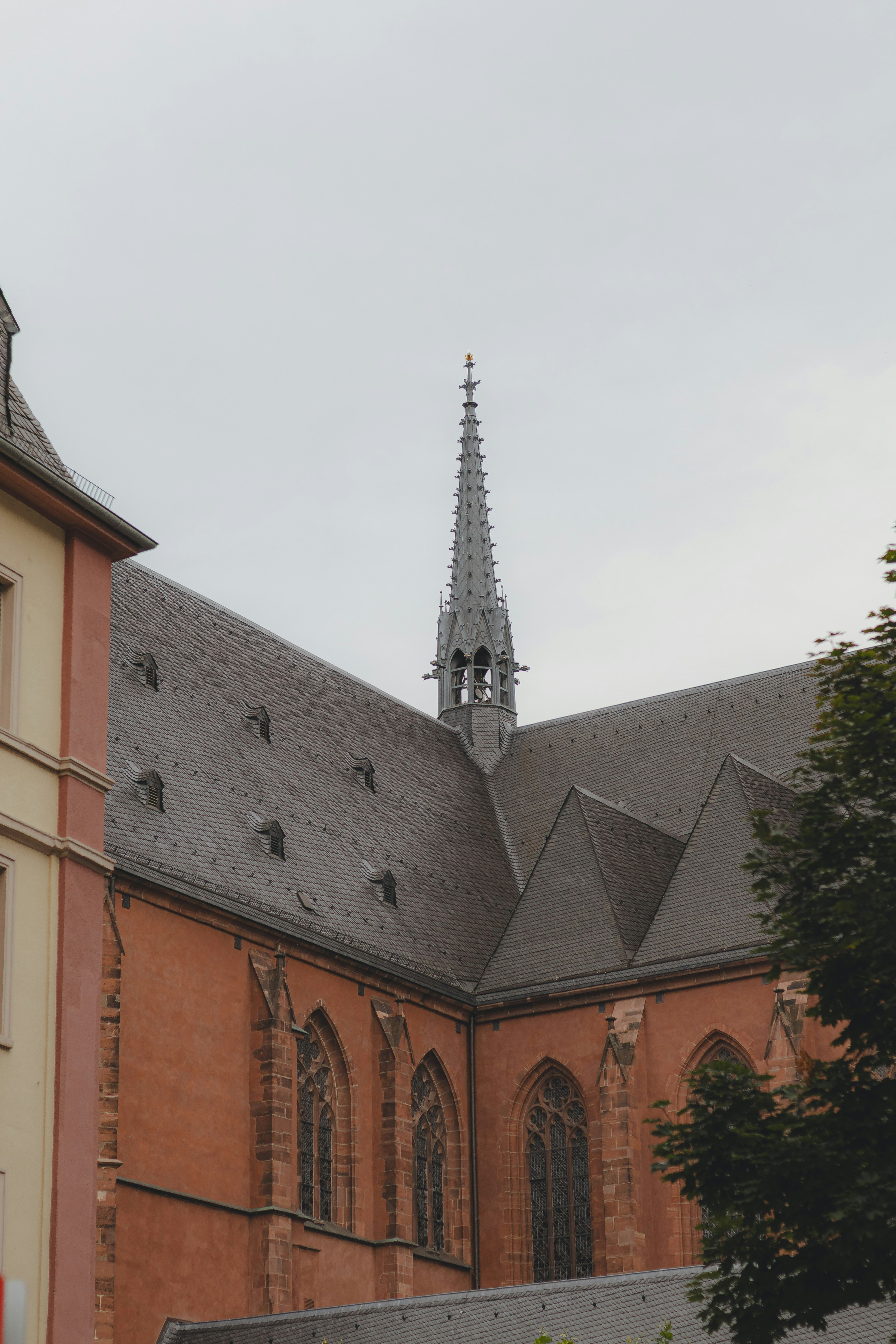 Photo by arlindphotography