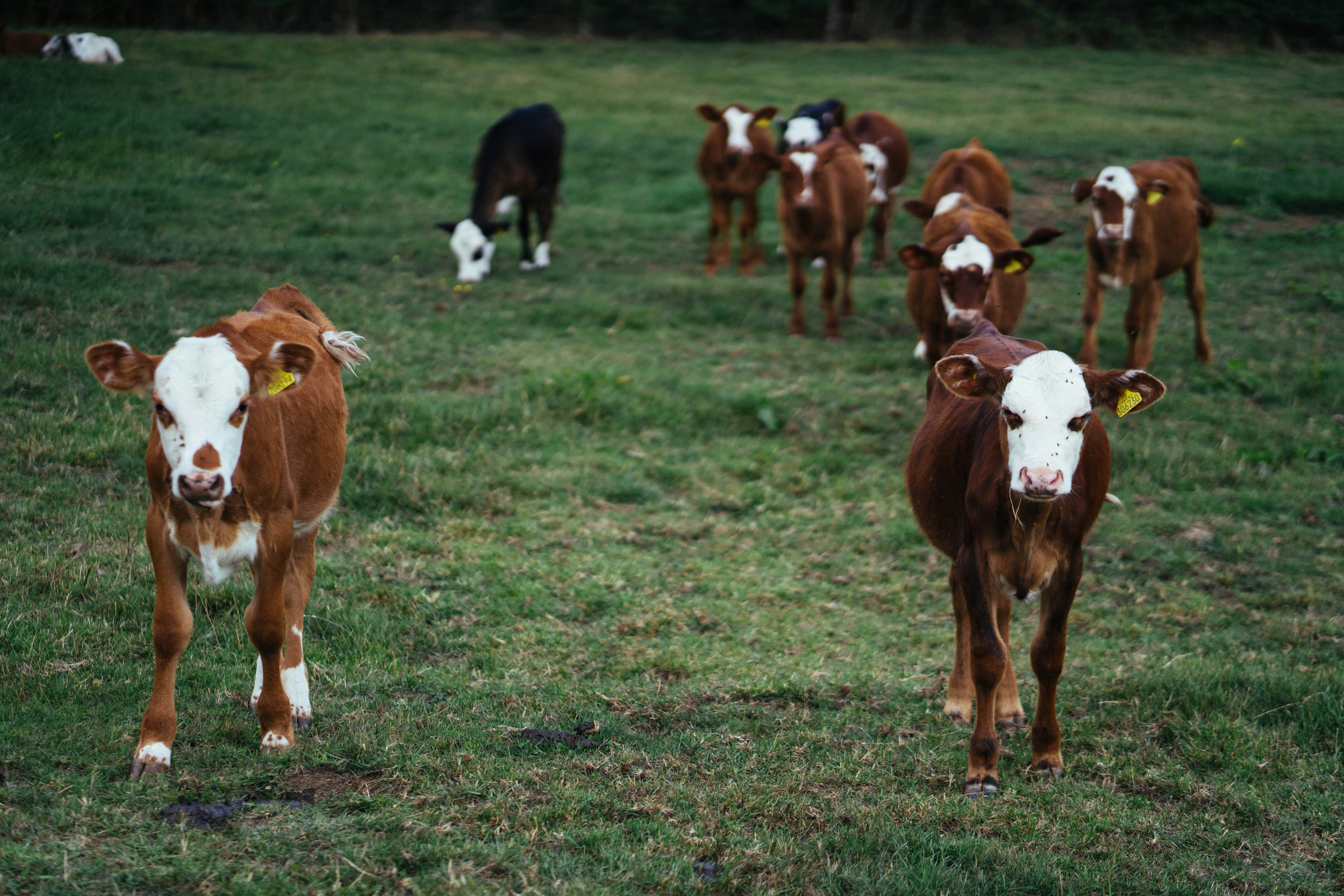 Photo by philhearing