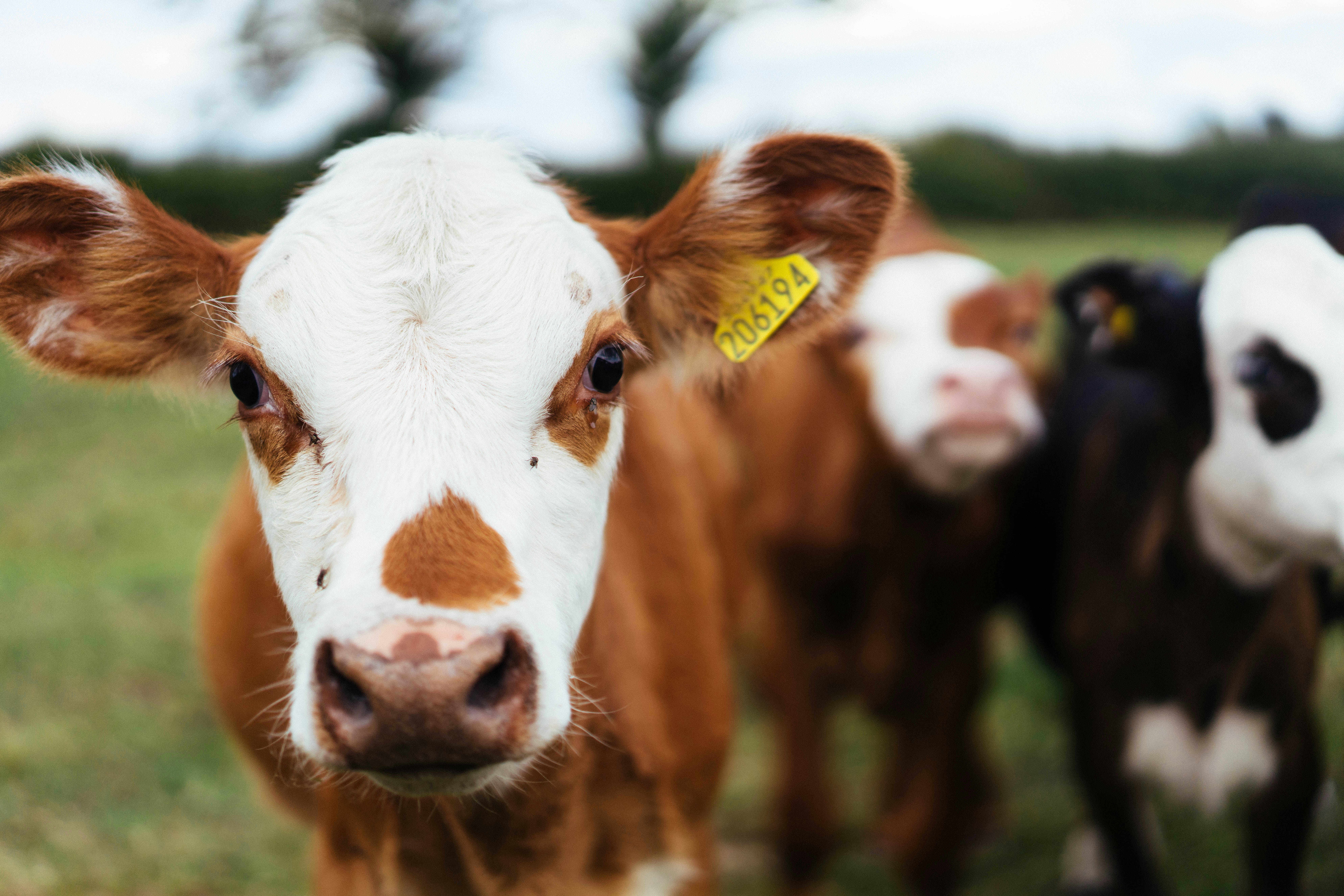 Photo by philhearing