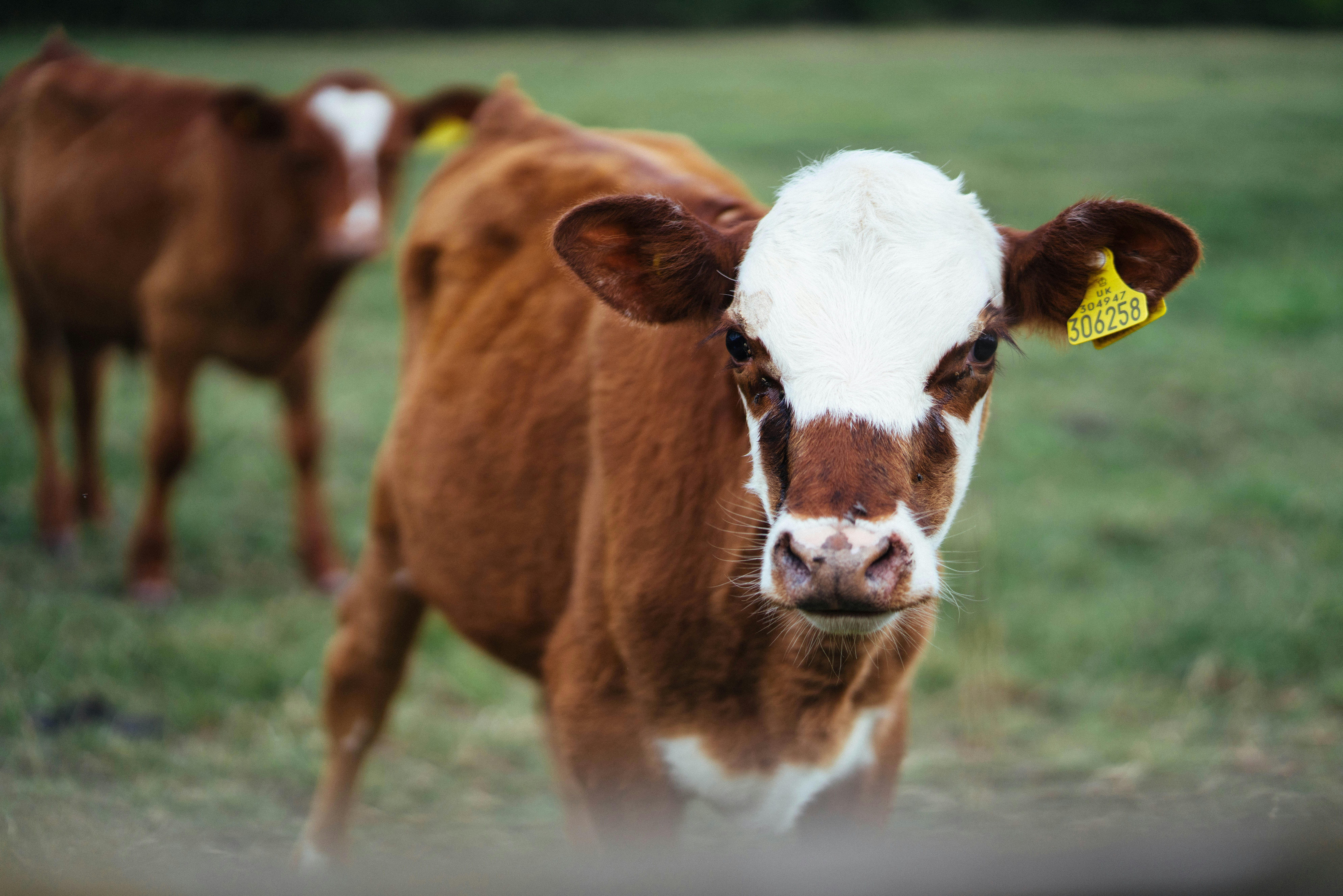 Photo by philhearing