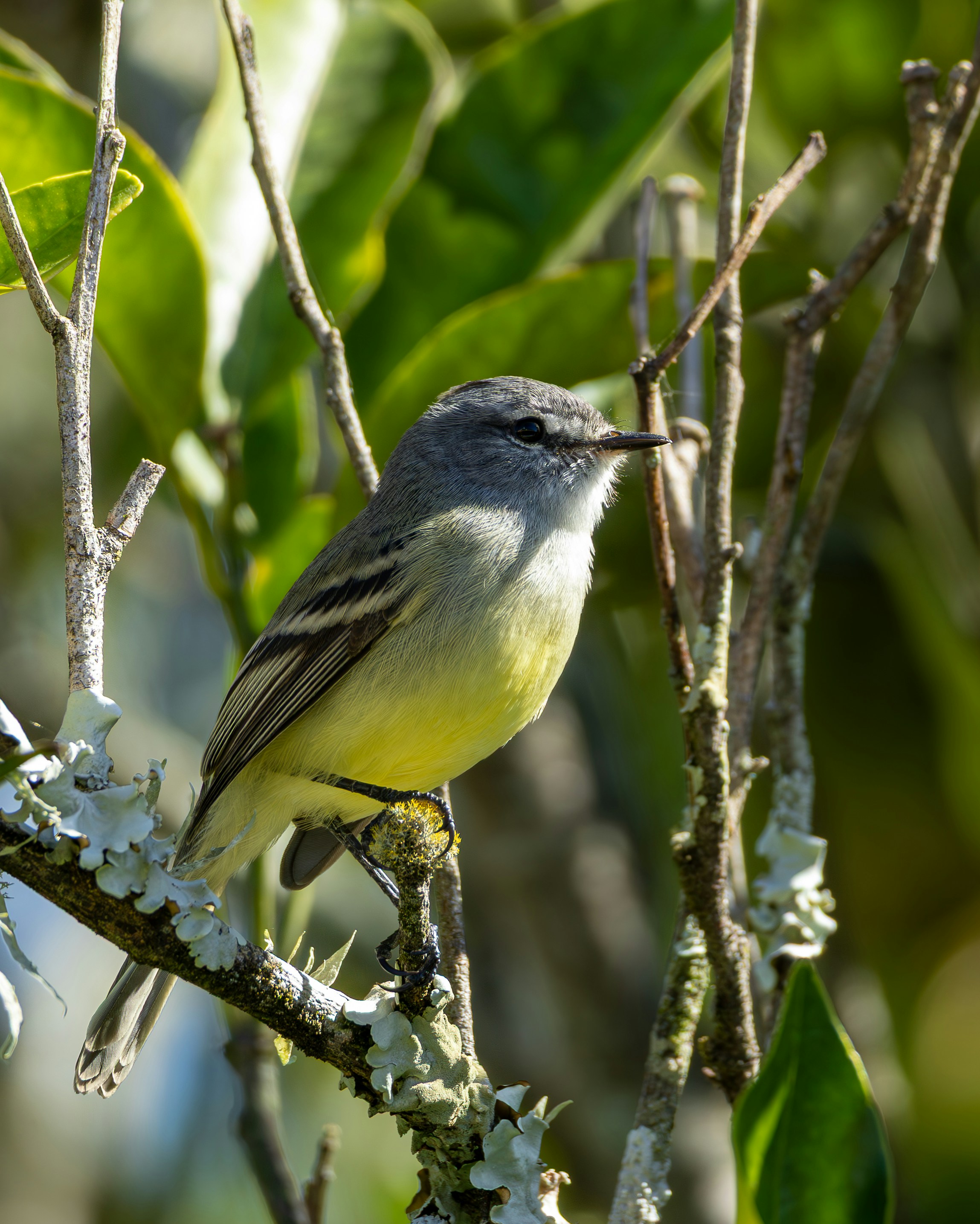 Photo by matheuskprot