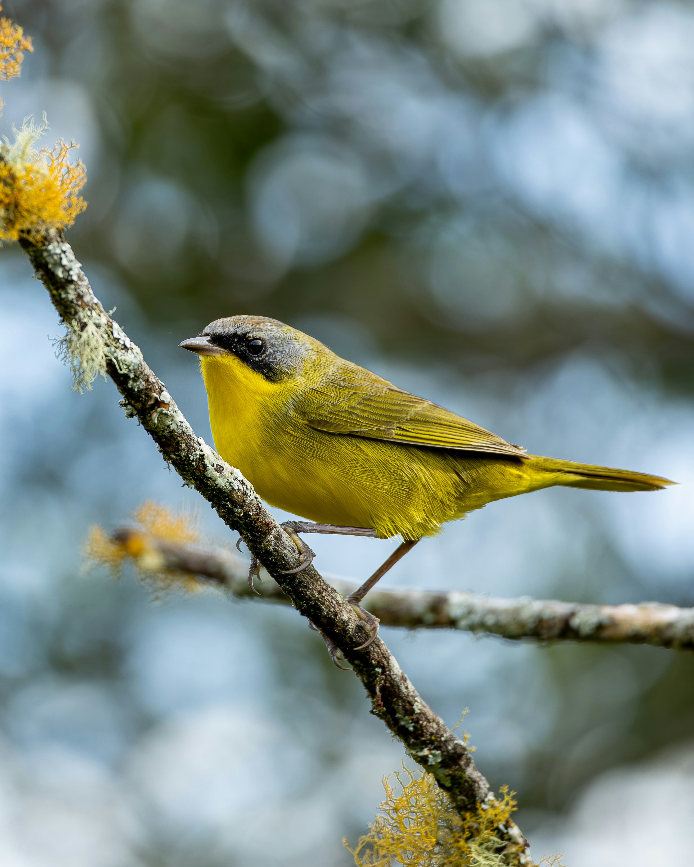 Photo by matheuskprot