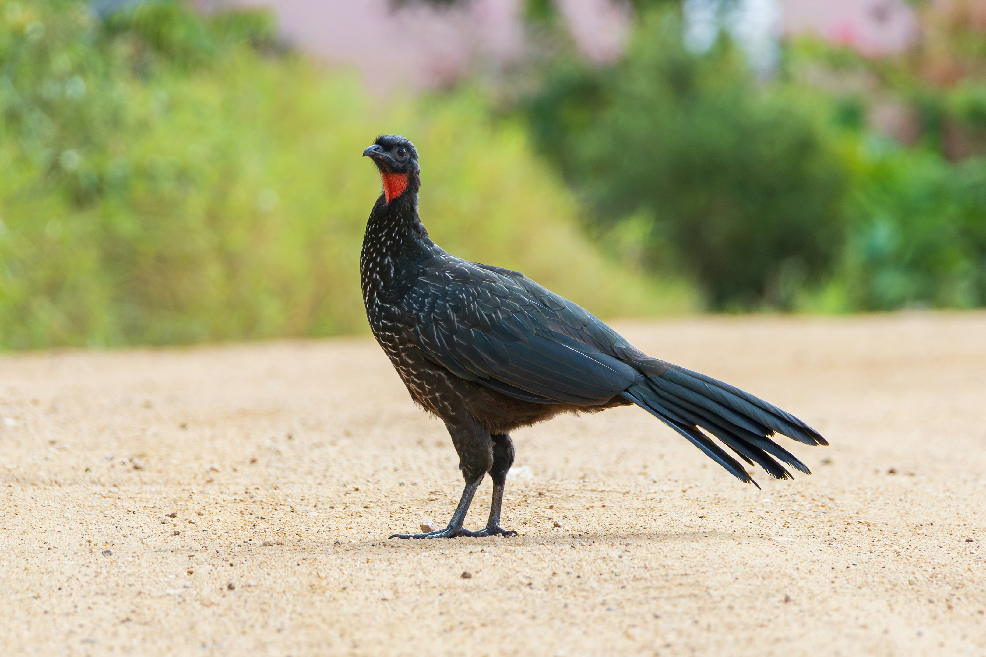 Photo by matheuskprot