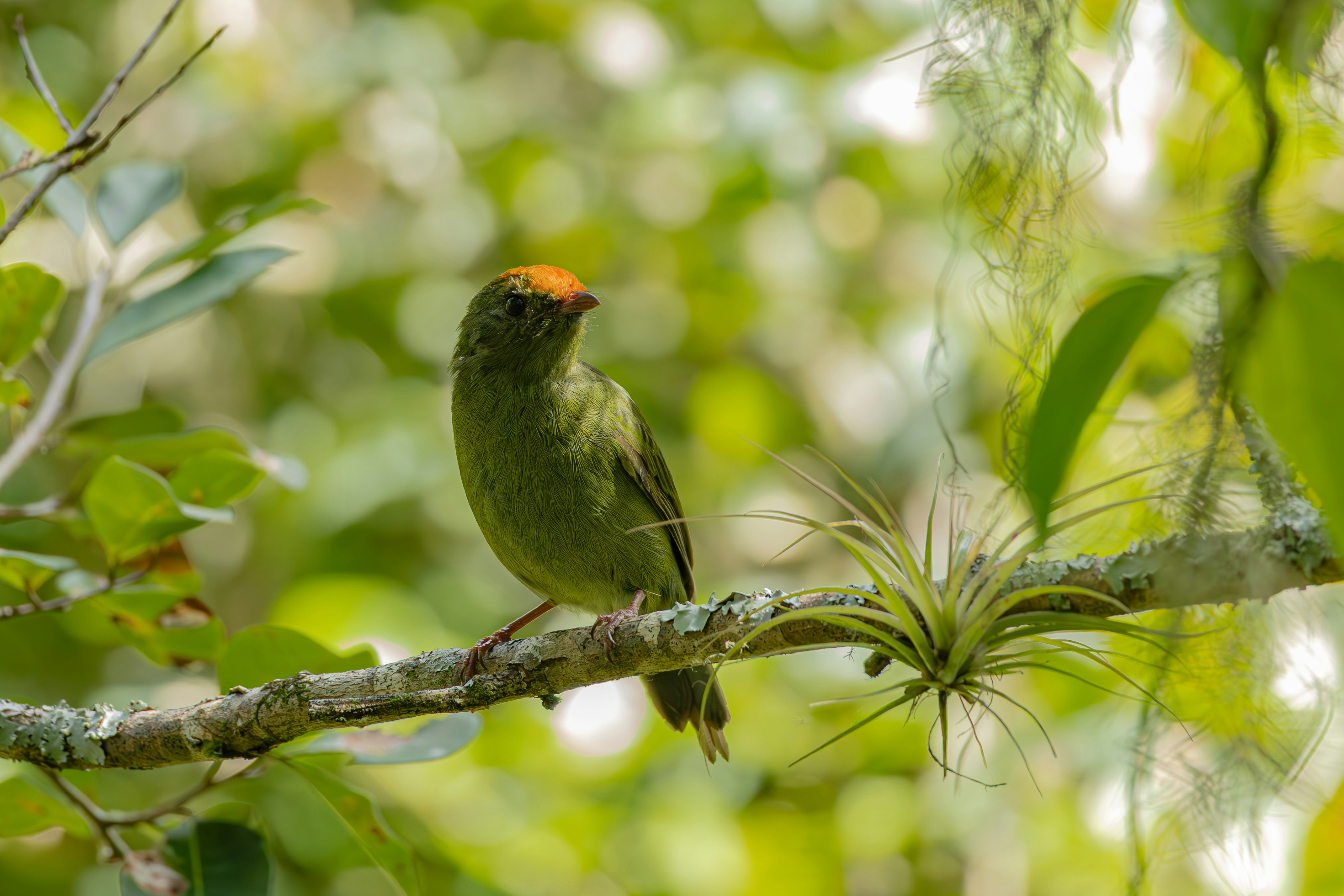 Photo by matheuskprot