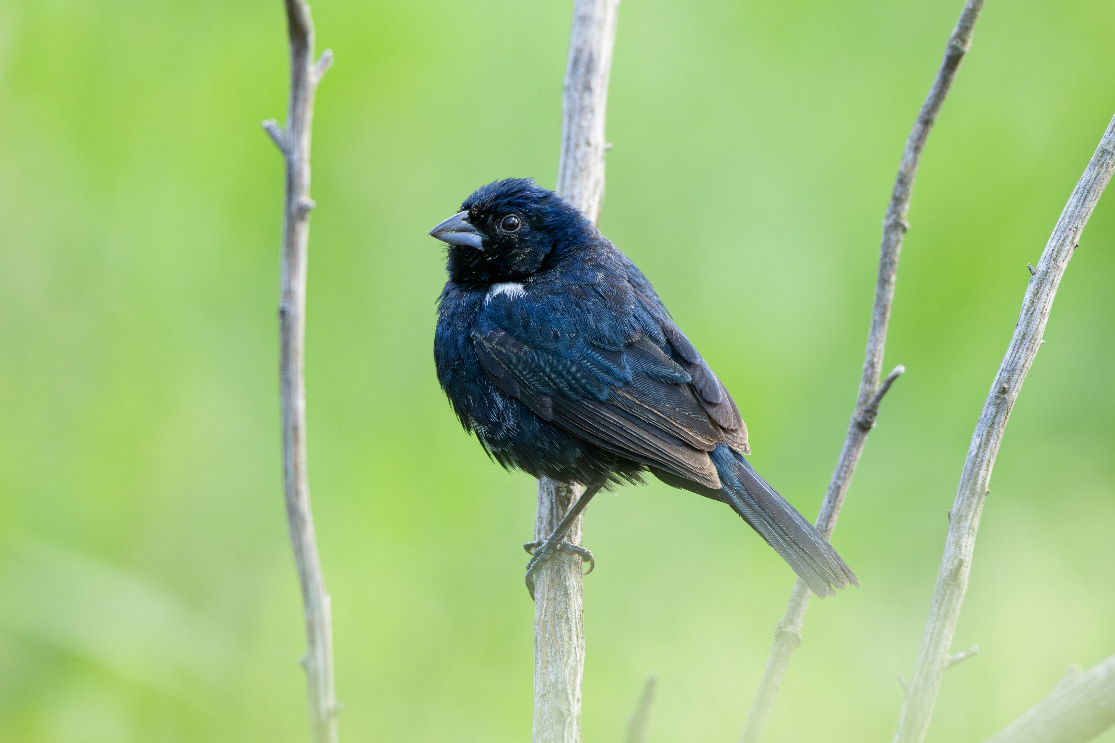 Photo by matheuskprot