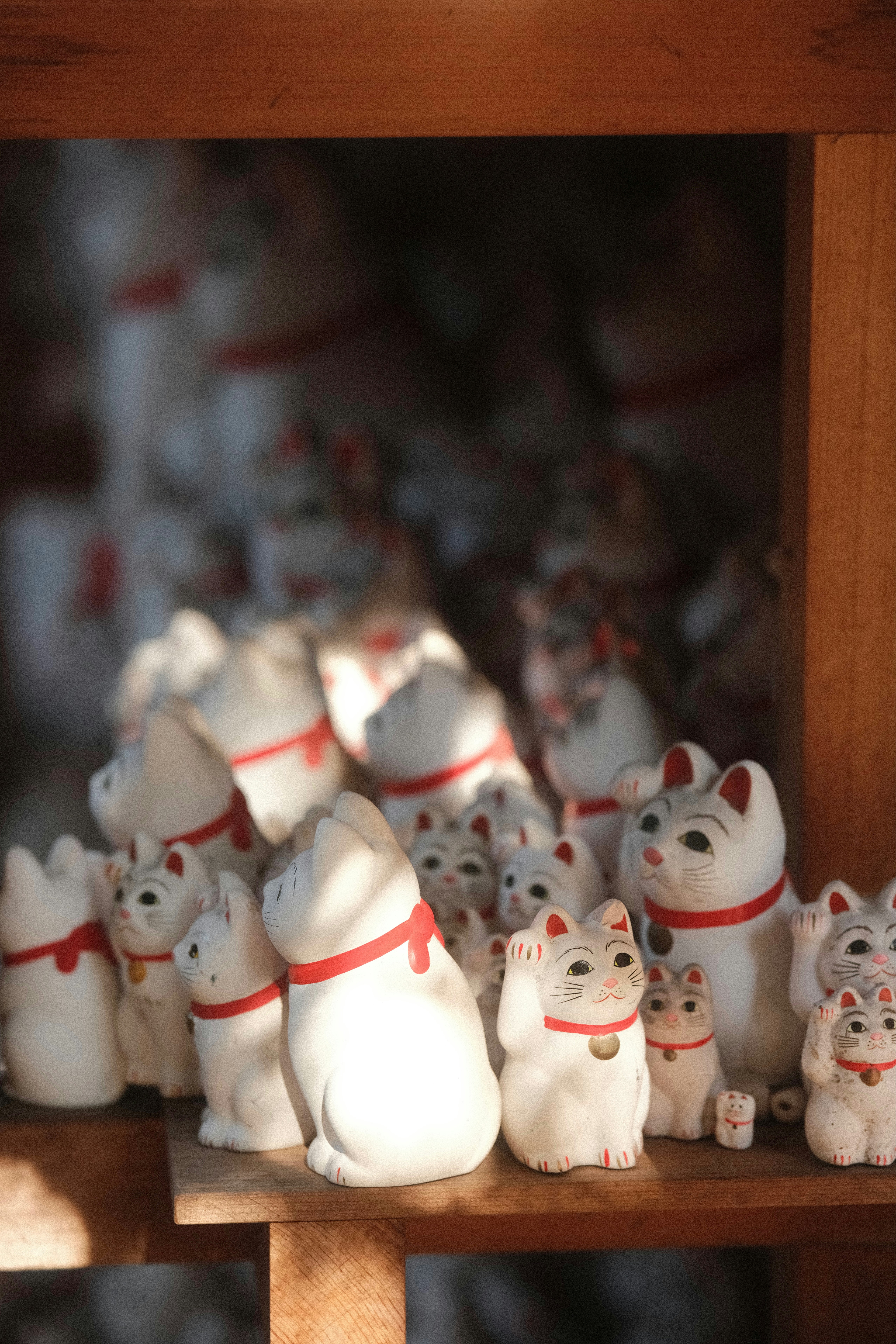 Photo by ginkgoshutter