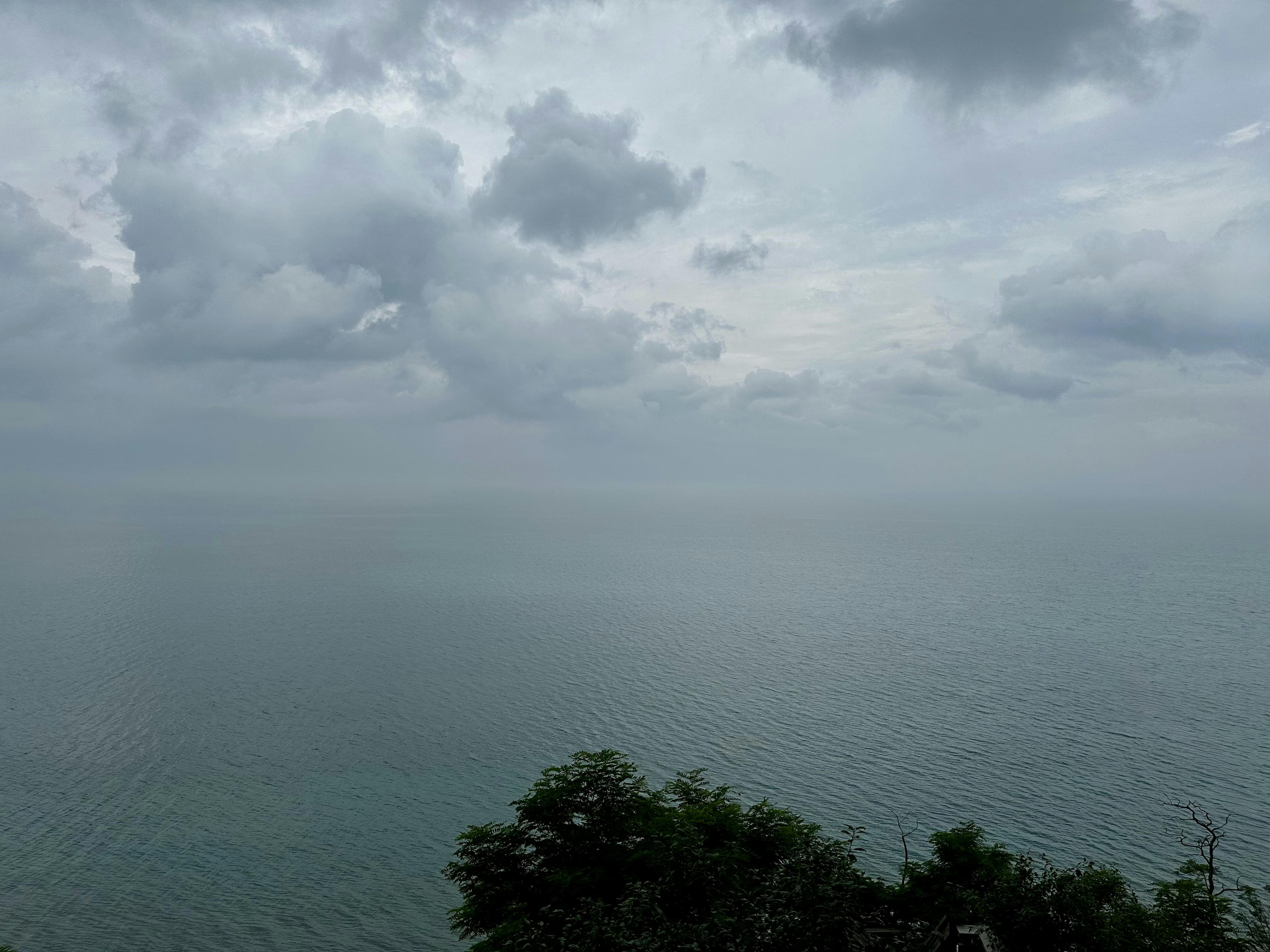 Photo by midkiffaries