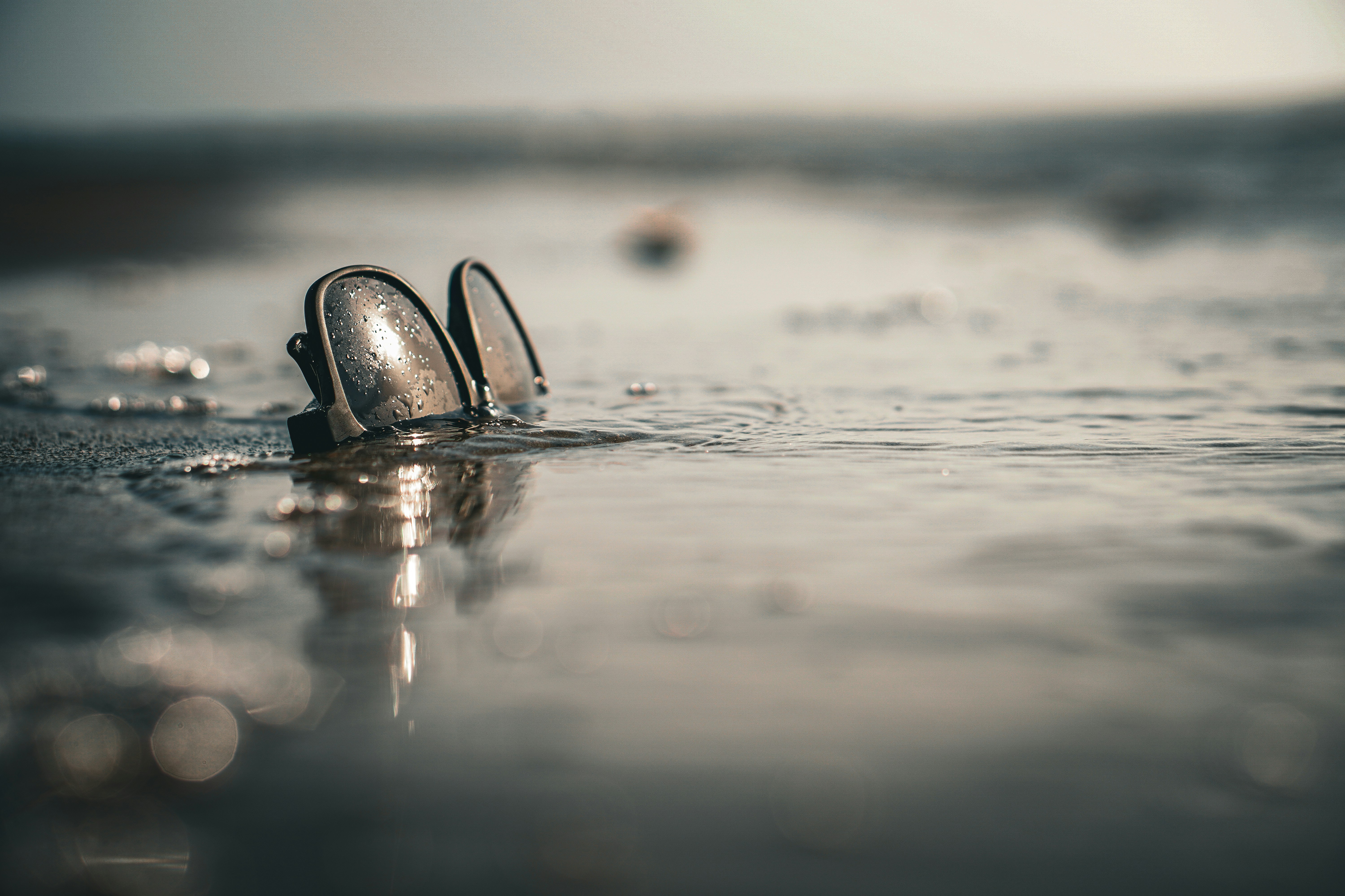 Shells rest in the wet sand.