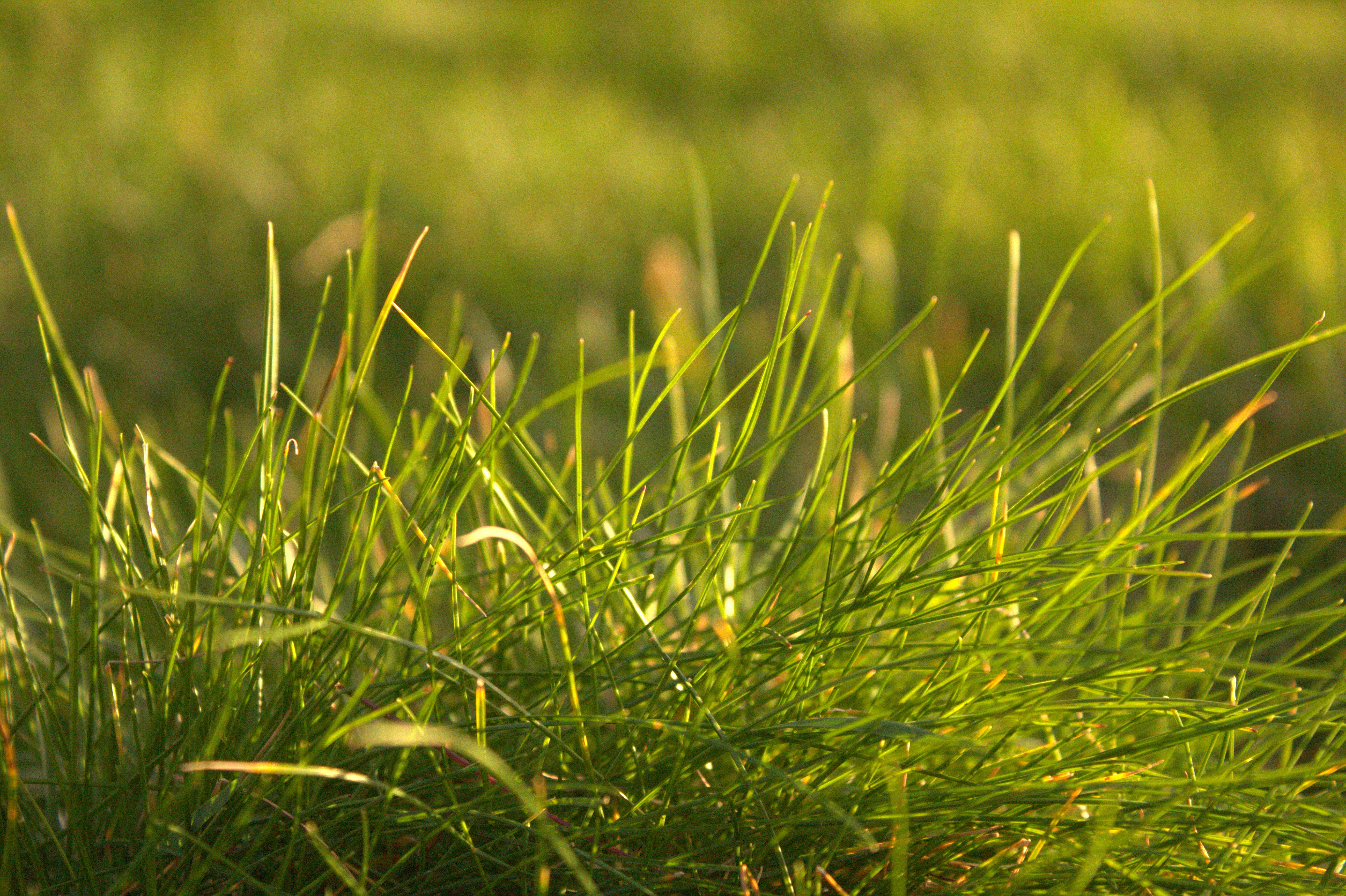 Photo by photoswithgabe