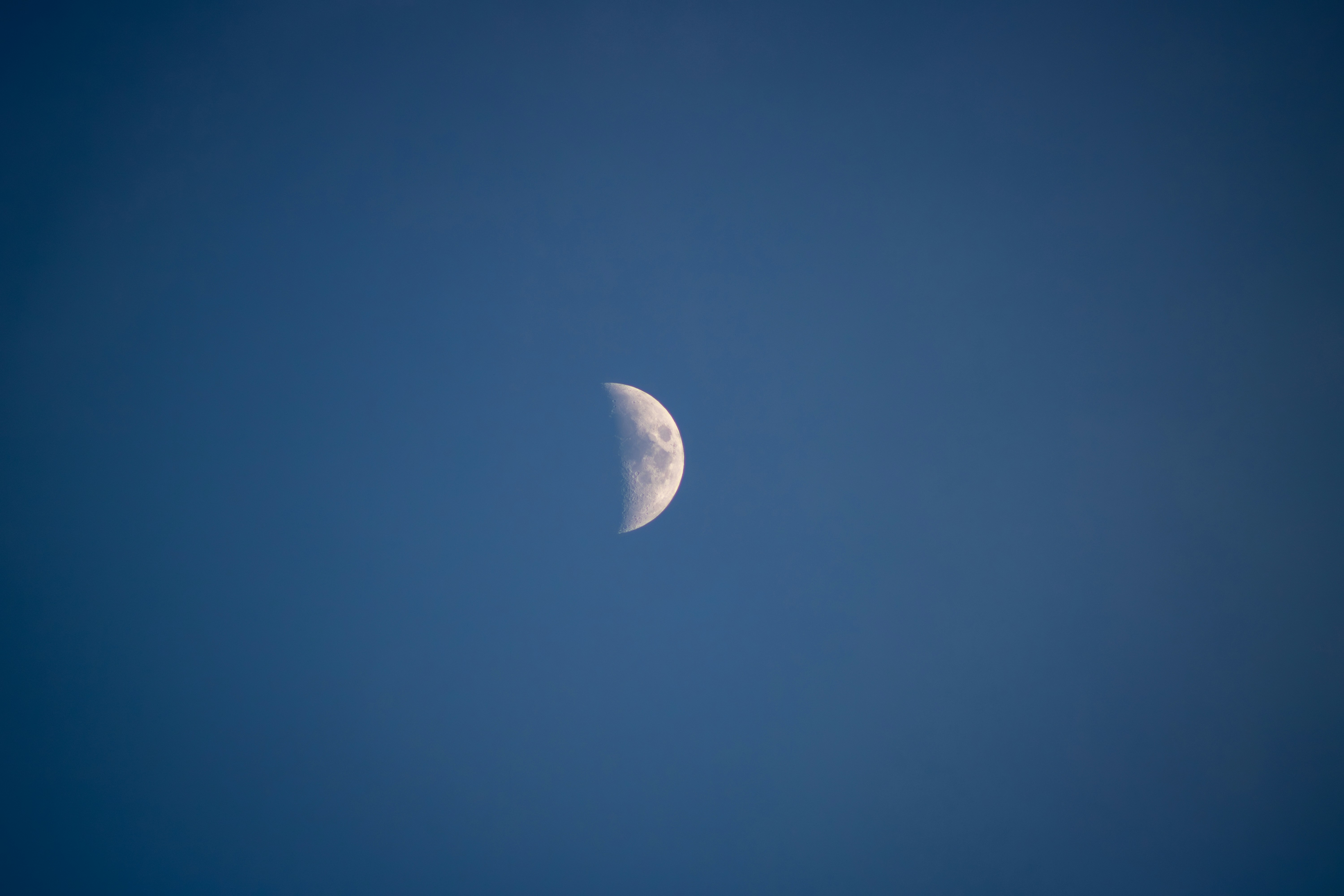 half moon in evening sky