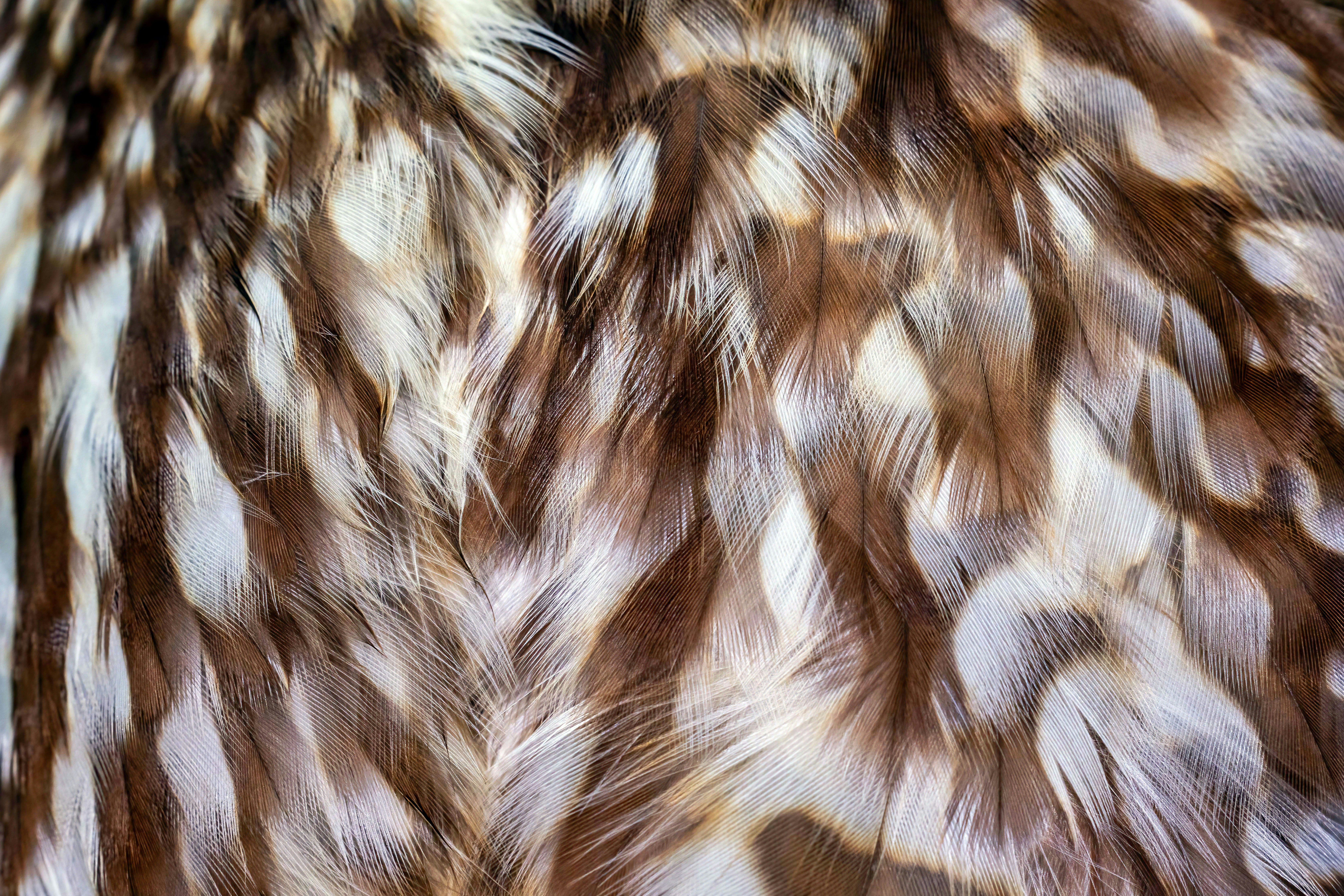 Symptoms Of Abdominal Hernia Pain Can Signify Serious Issues; Find The Indication That Call For Instant Care And What To Do Following