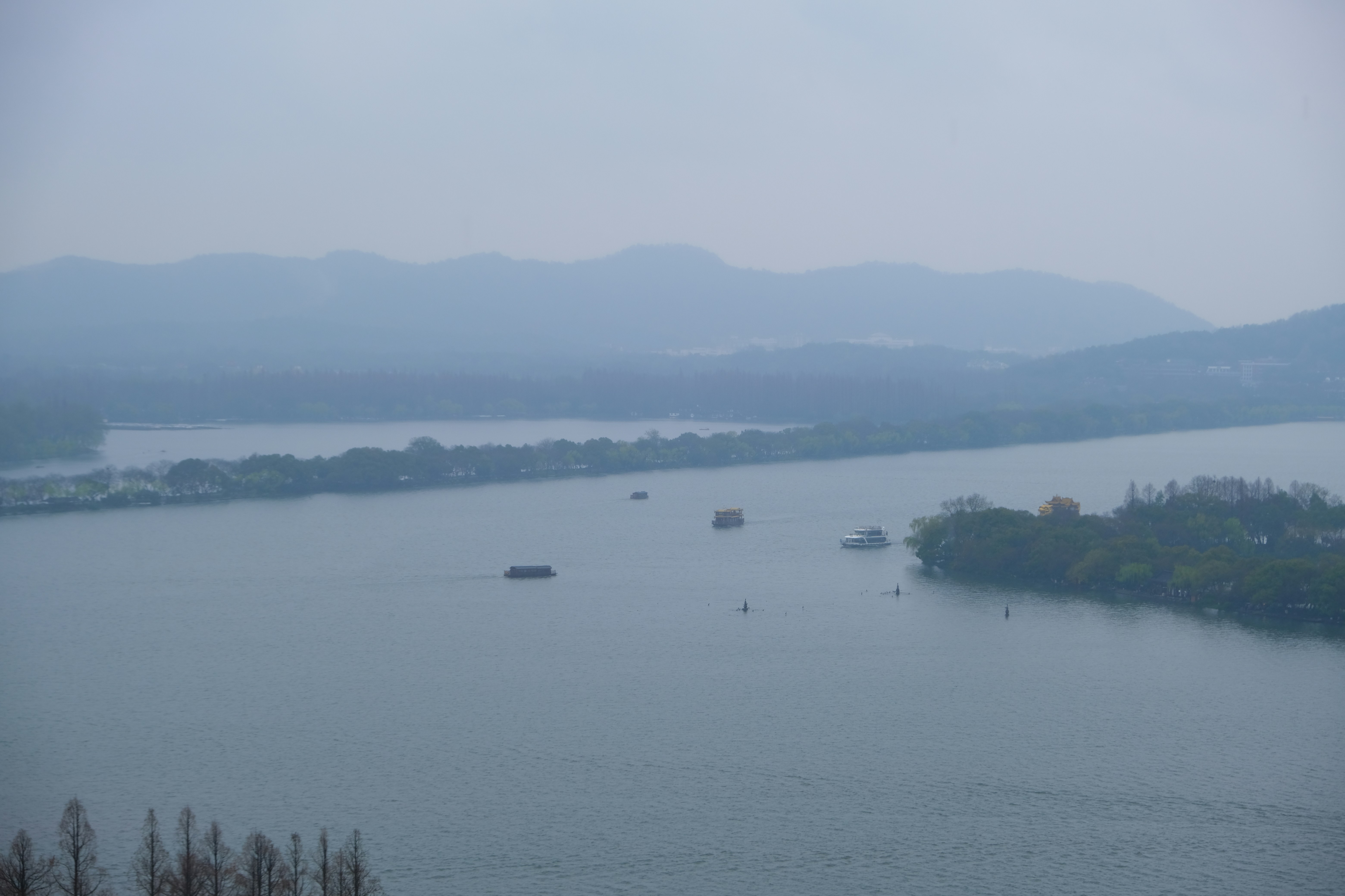 Photo by terrycarnivoroua