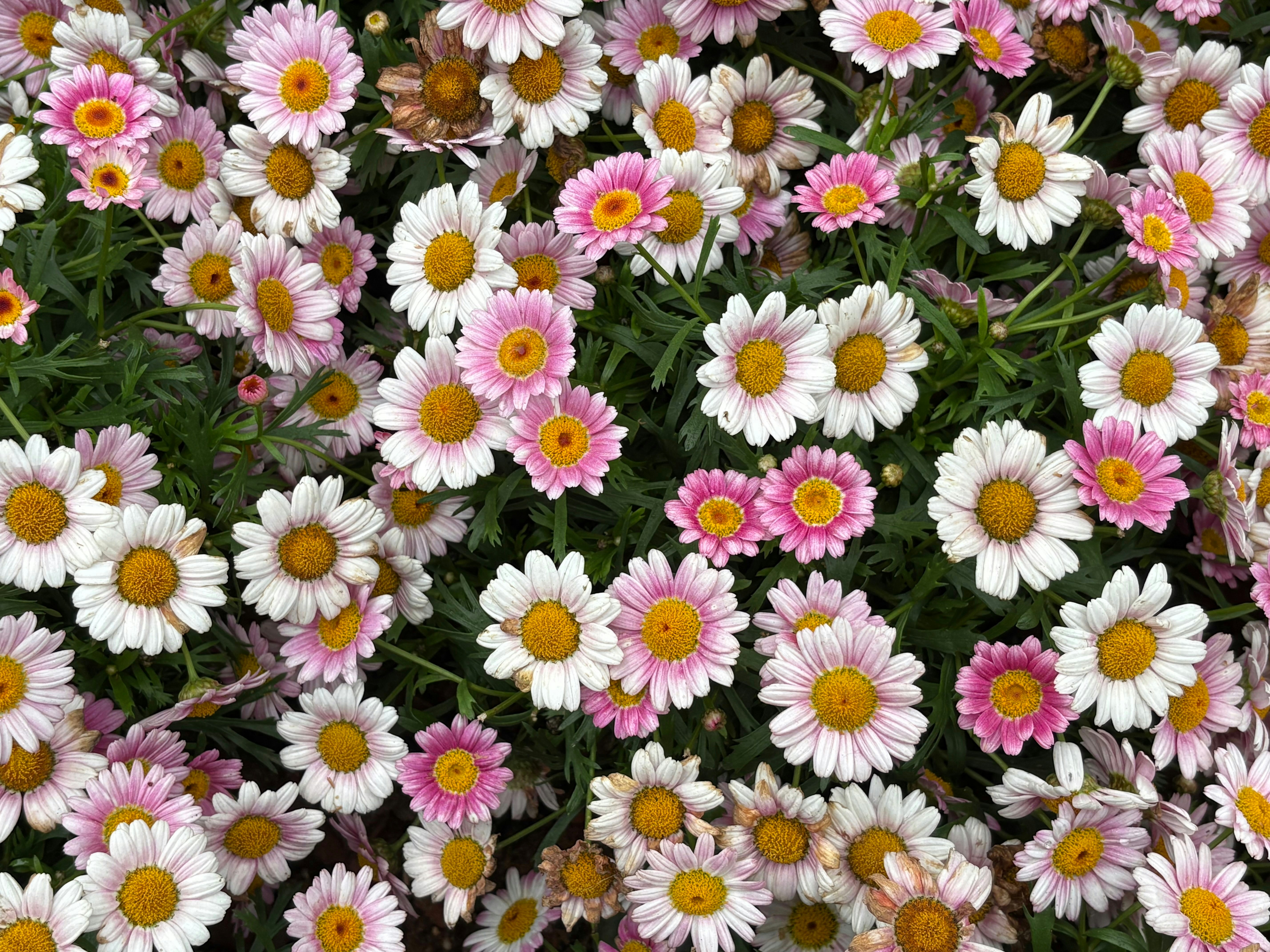 Photo by llllllllliiiiii