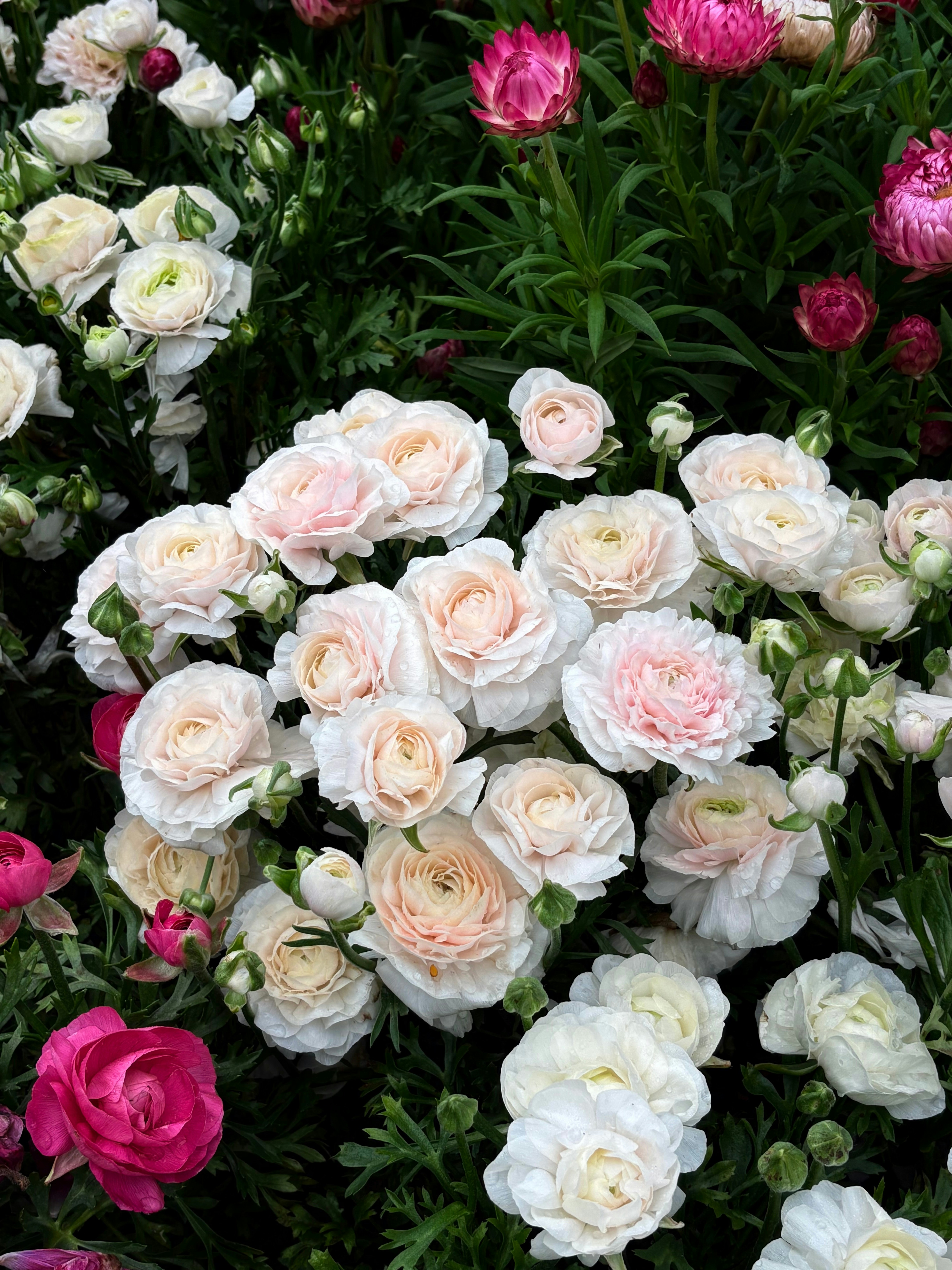 Photo by llllllllliiiiii