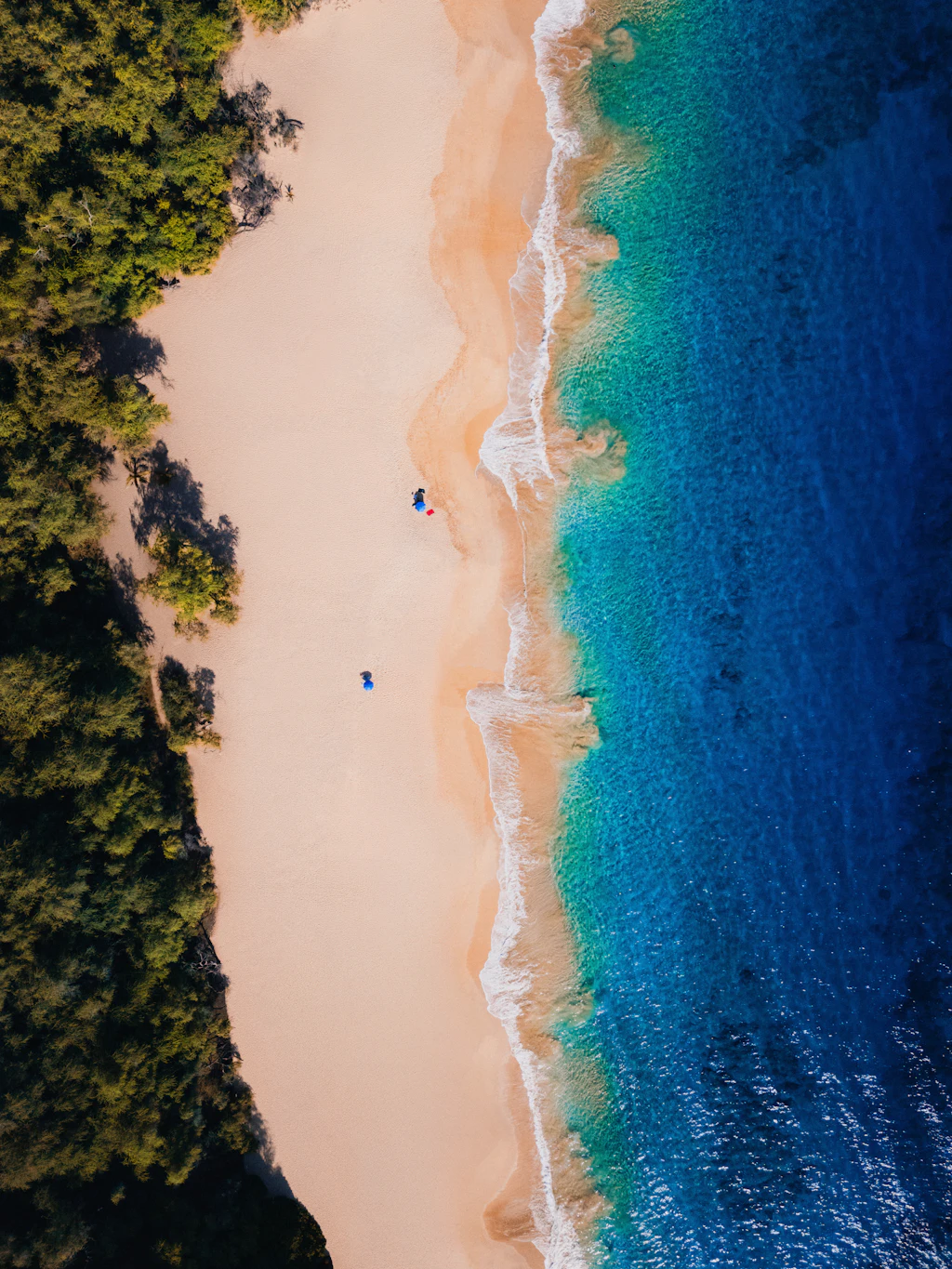 Tropisch strand met turquoise water en palmbomen van bovenaf