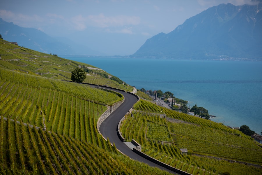 Vignobles en terrasses de Lavaux surplombant le Lac Léman