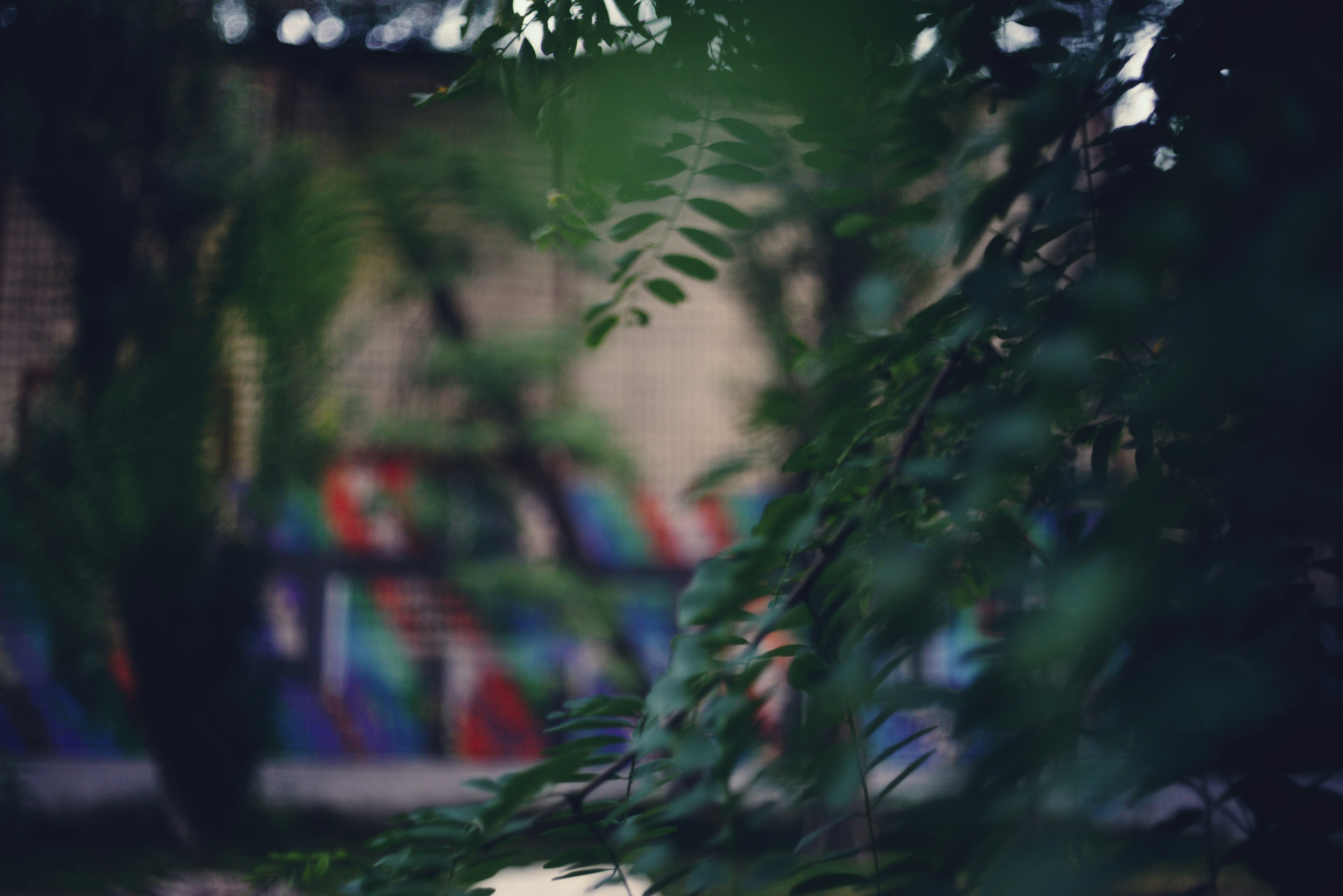 Photo by cherstve_pechivo