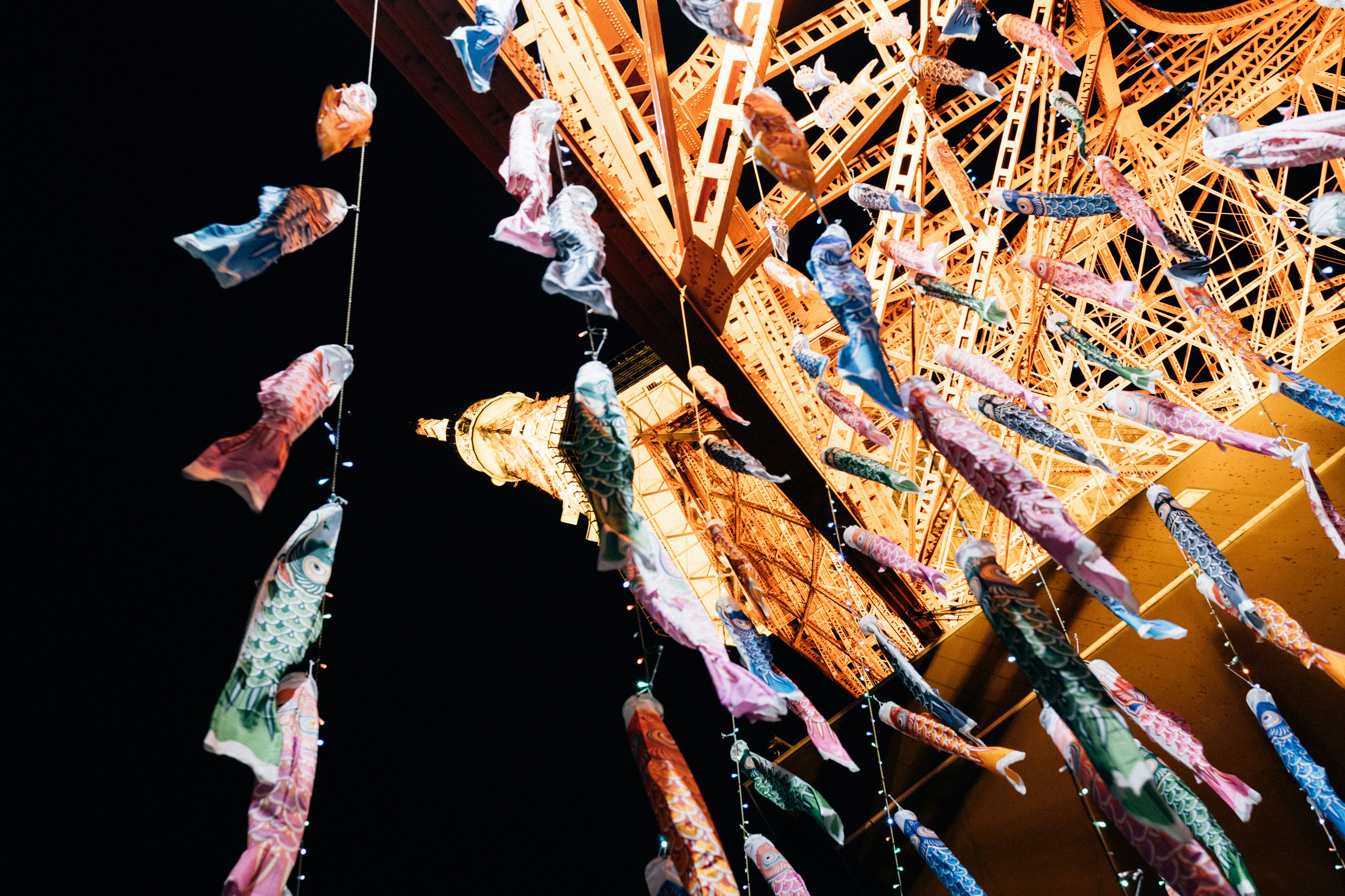 Photo by tsuyoshikozu