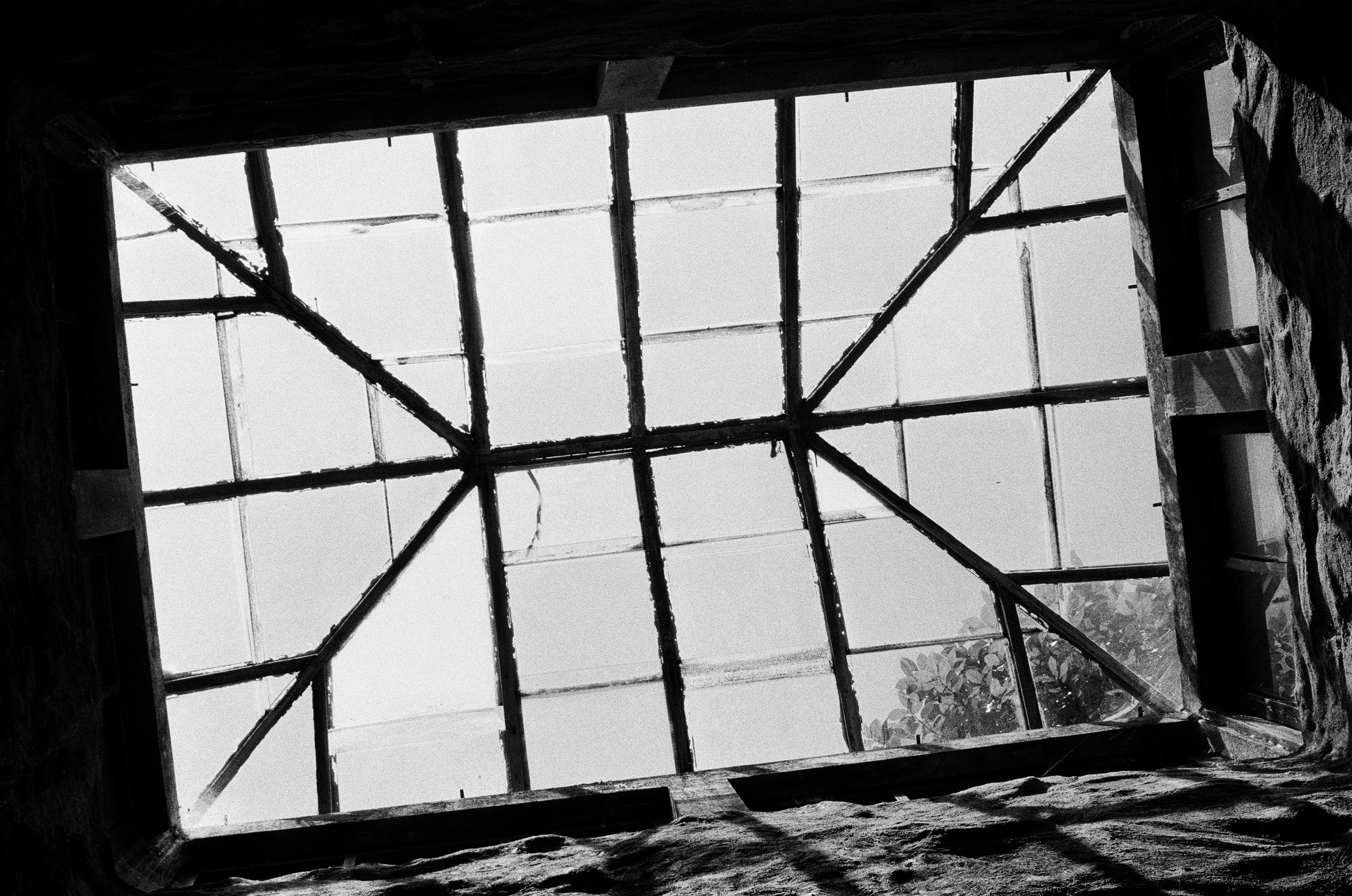 Photo by bradleyandroos