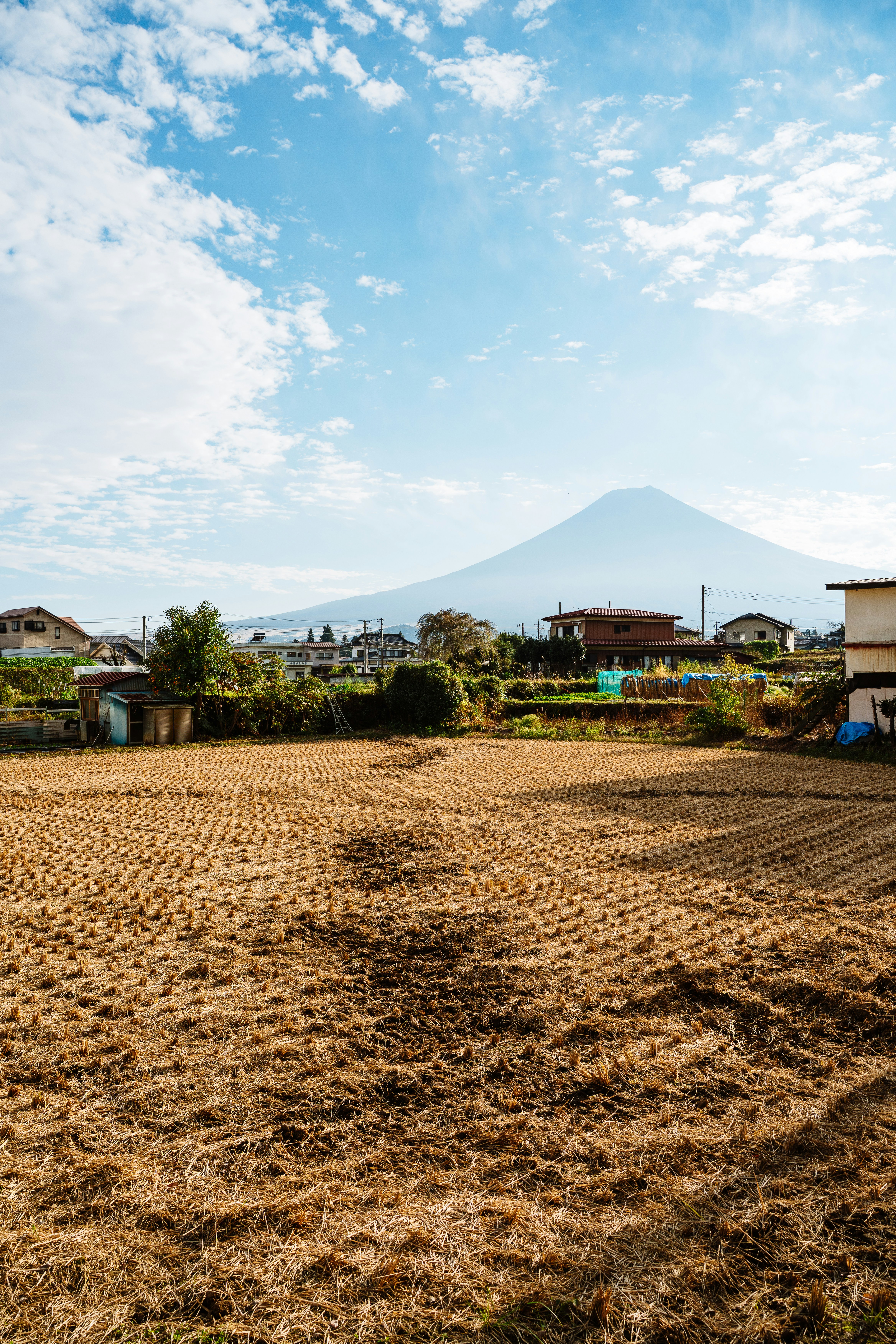 Mount fuji towers over a rural landscape.