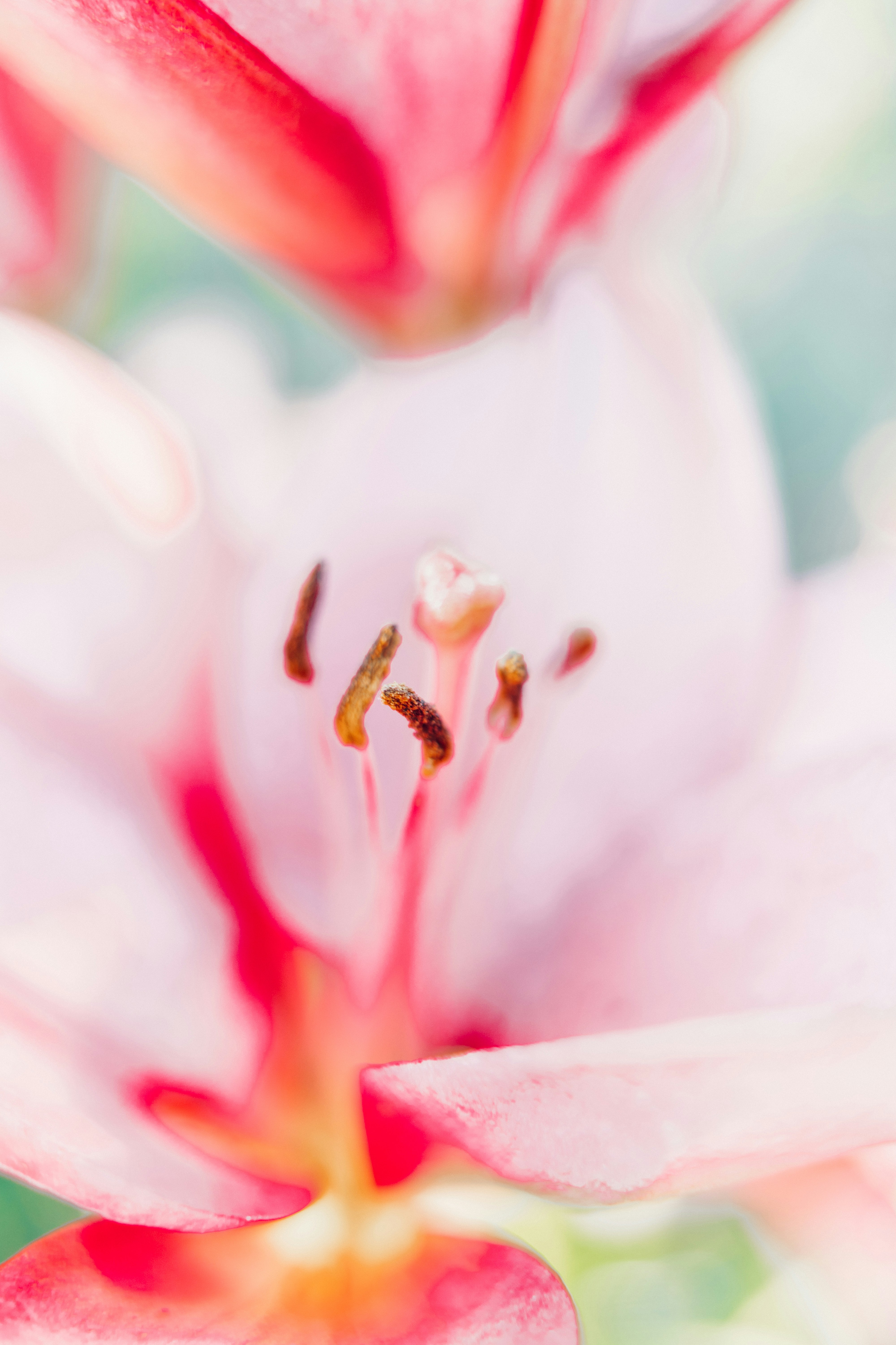 Photo by anamnesis33