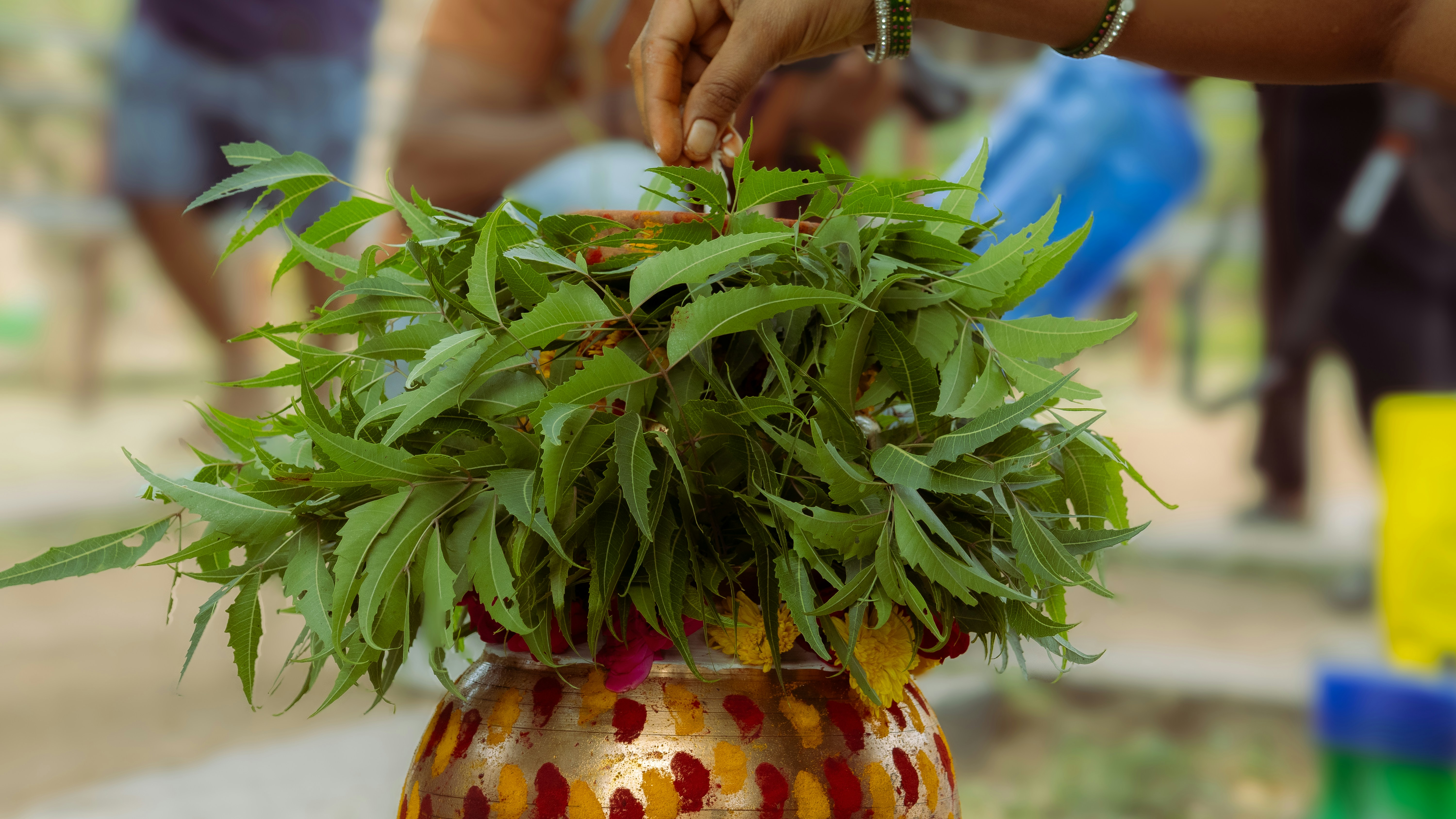 Hand places green leaves on a decorated pot.