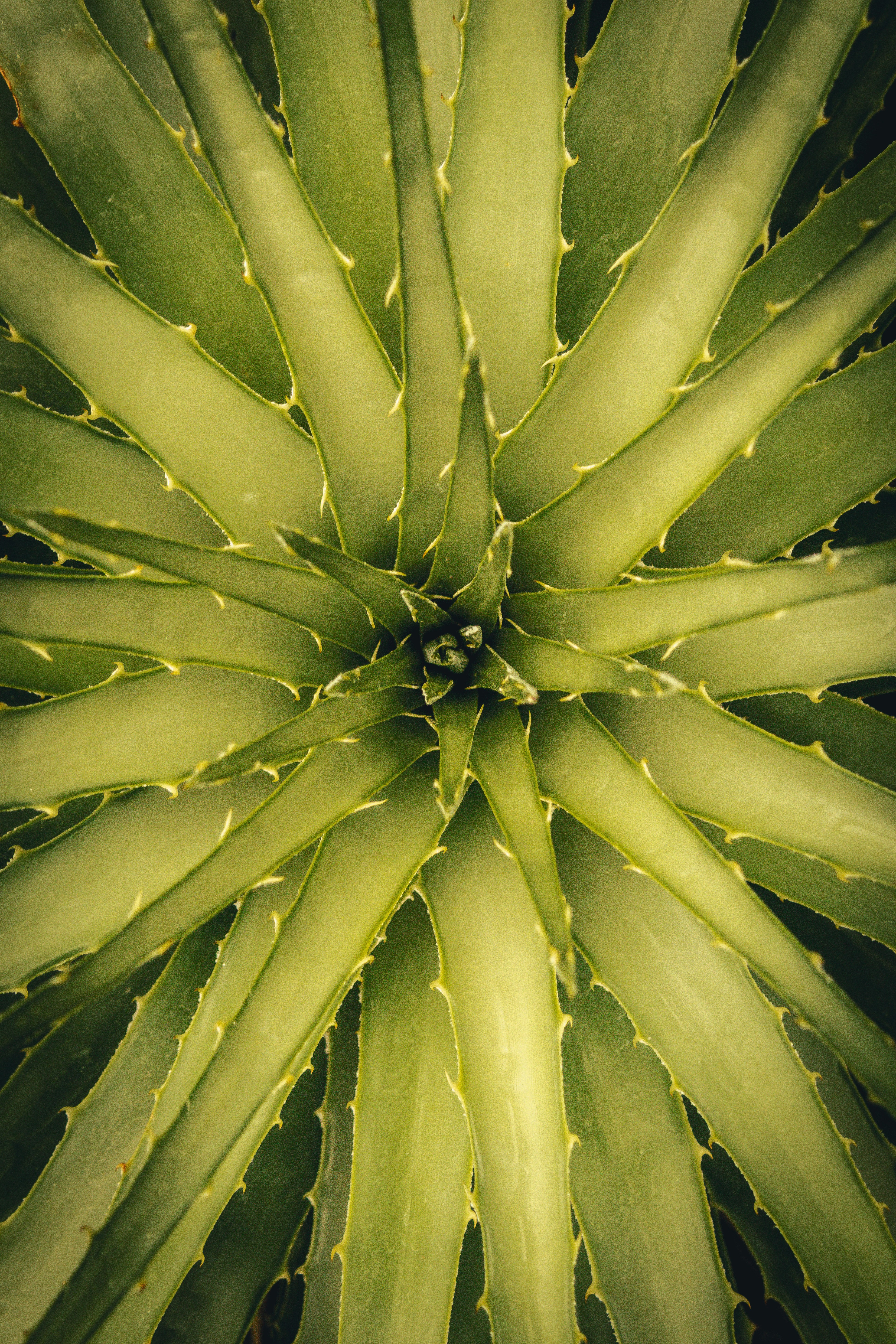 Photo by patrycja_chociej