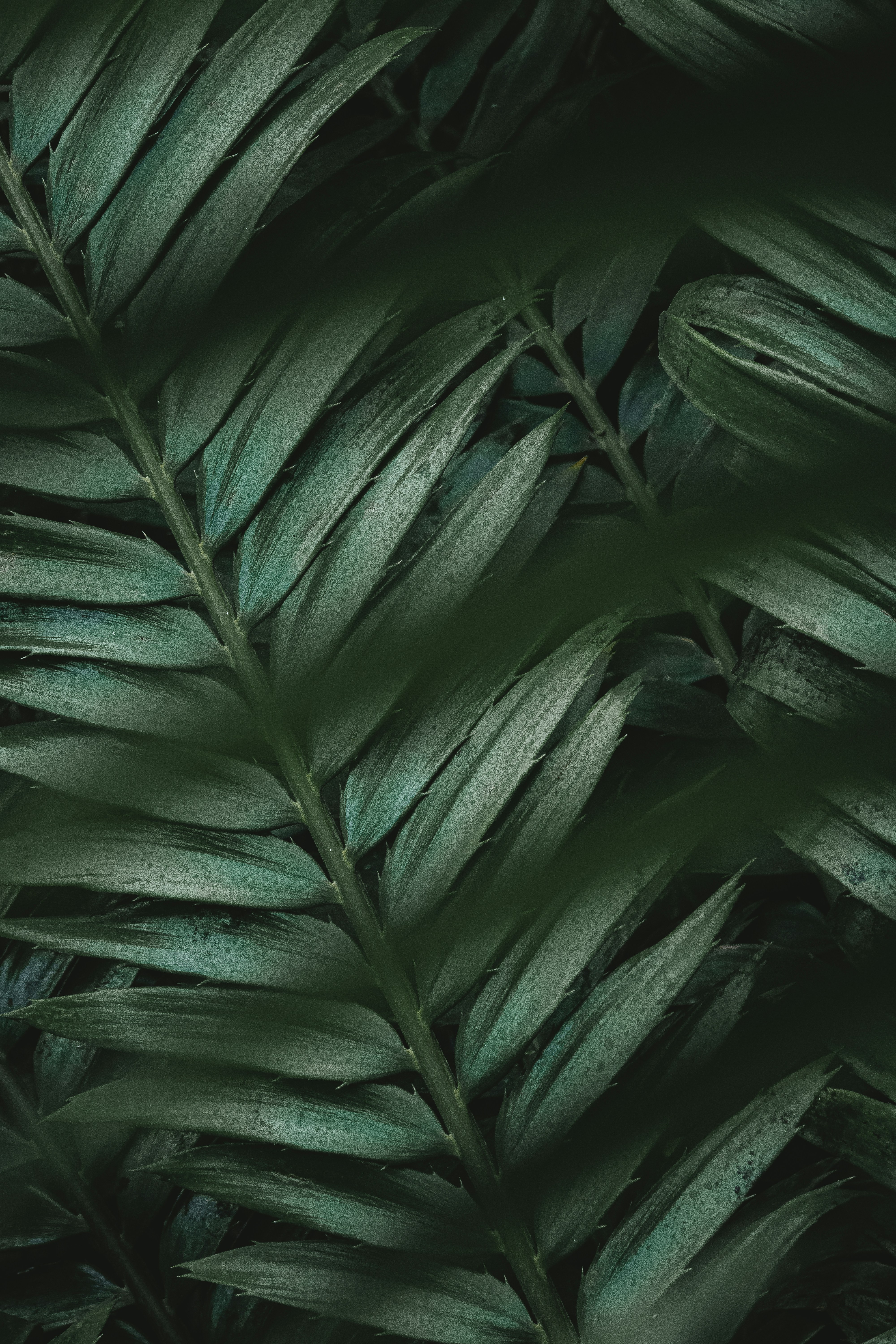 Photo by patrycja_chociej