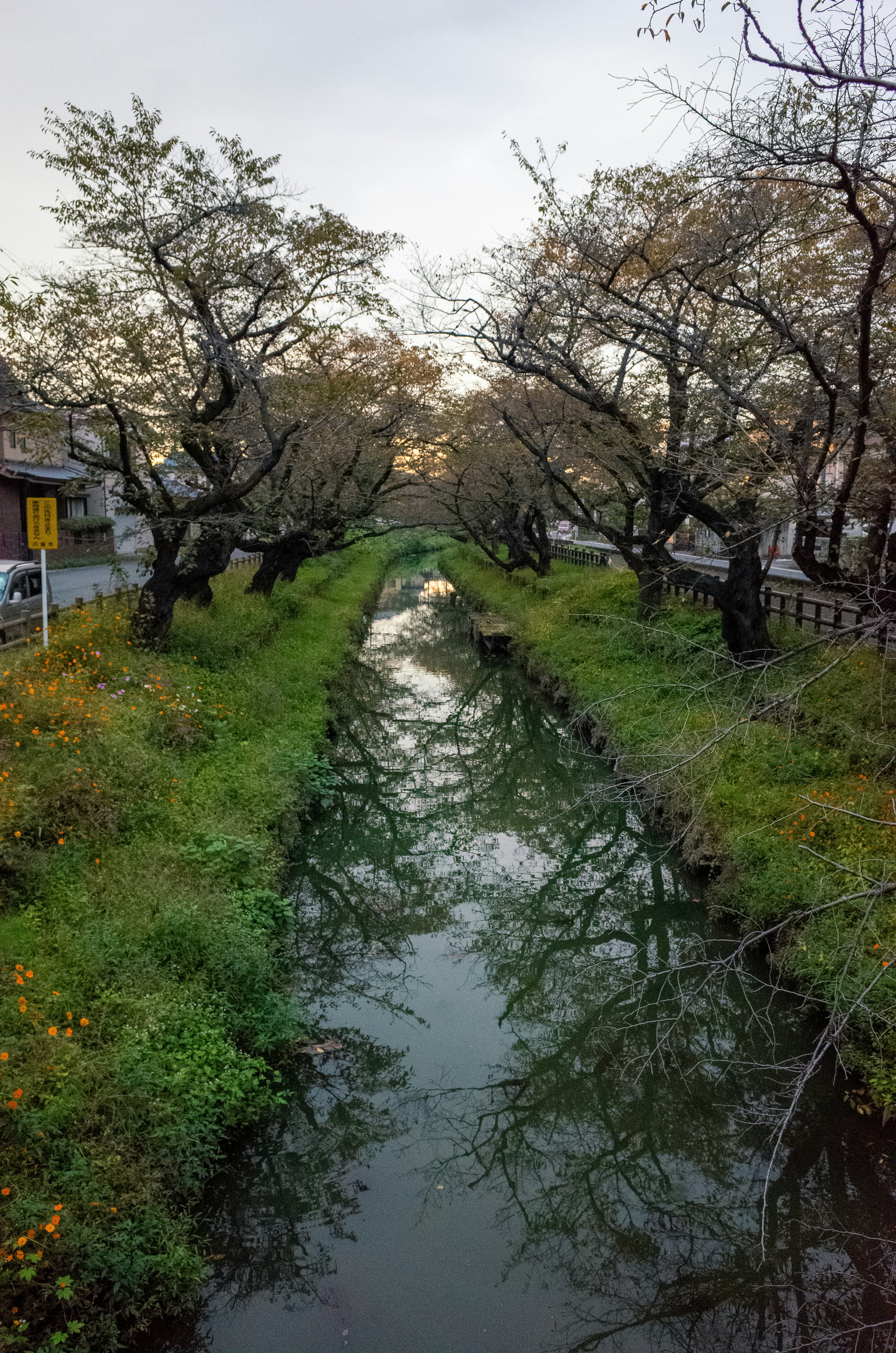 Photo by dokae